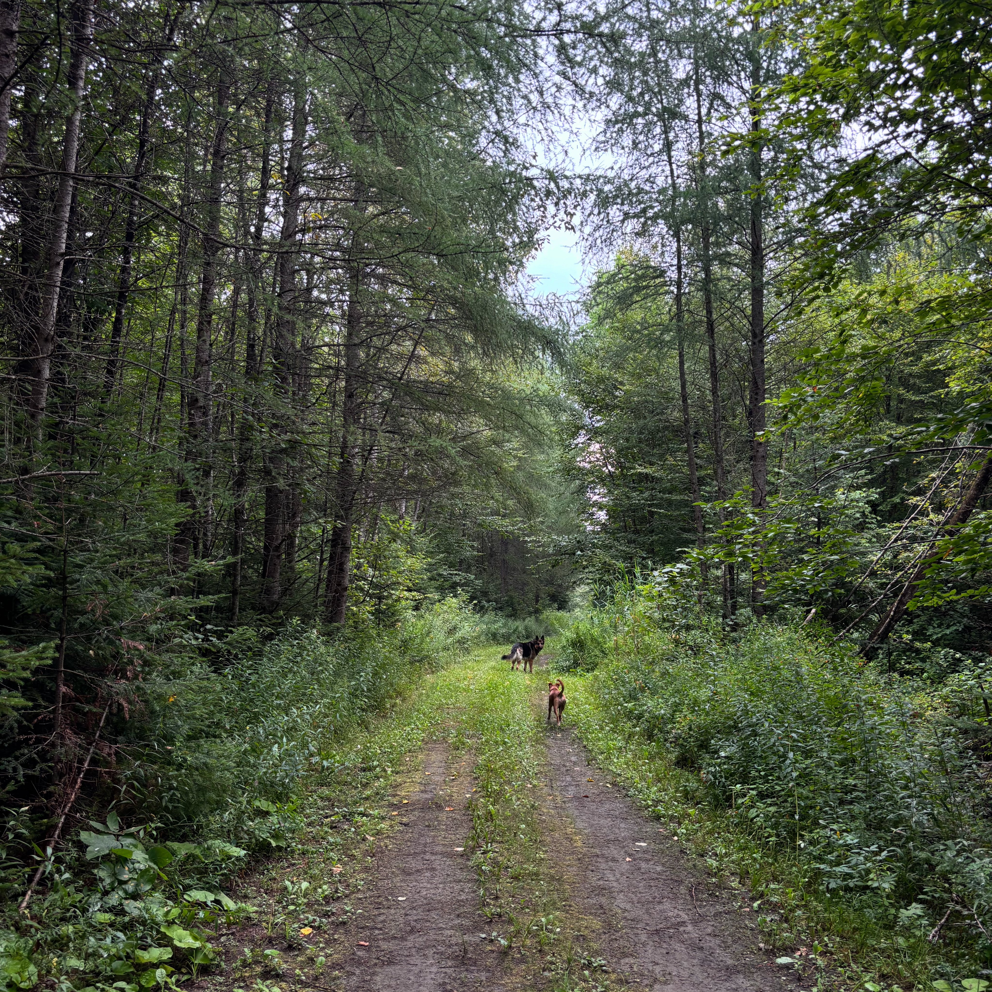 e478ea507a644e5581e525f24dafd783jpg by Abigail Morin?width=698&height=466&fit=crop&auto=webp&dpr=4