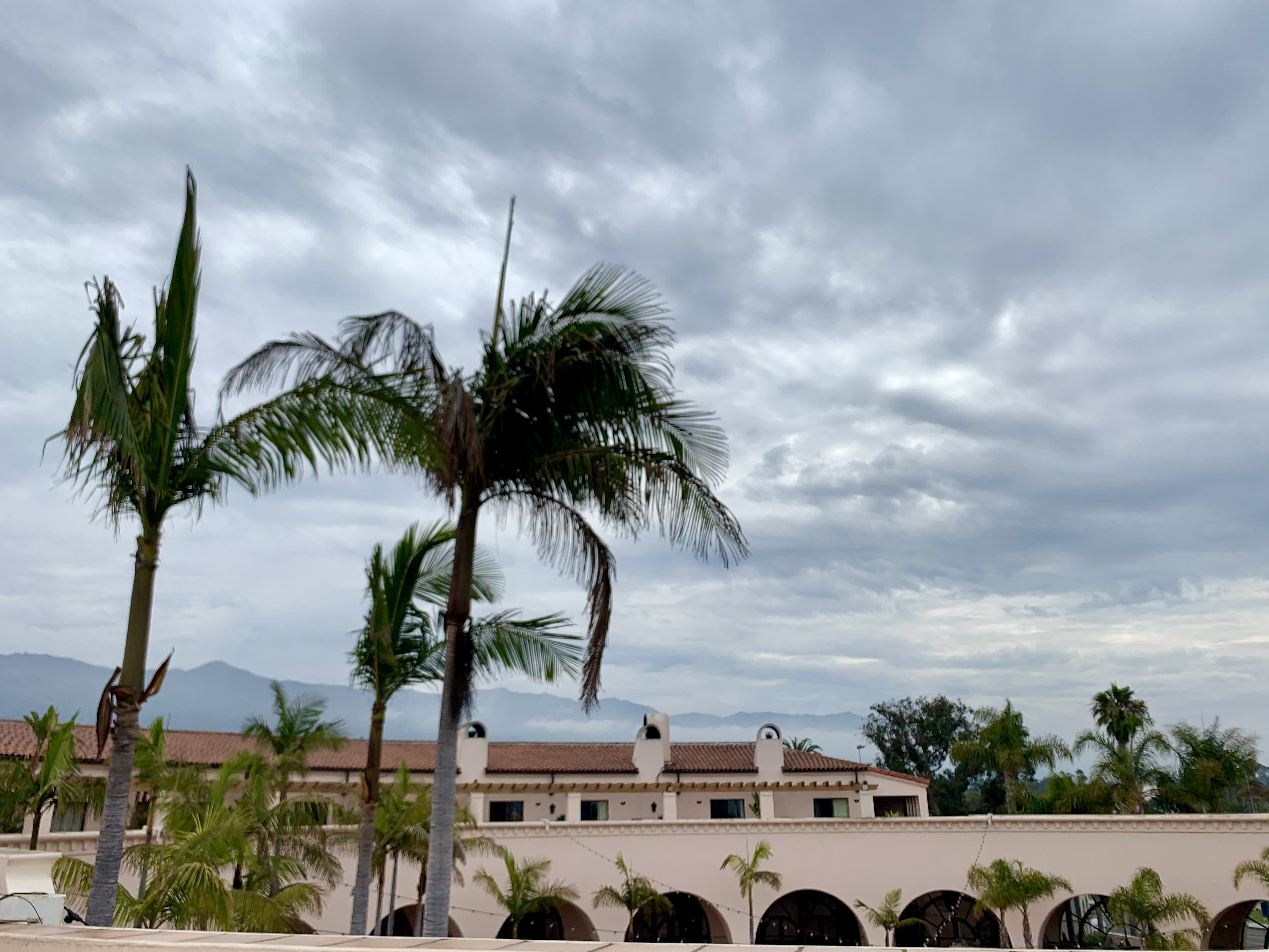 img 7255jpg by Maya Ordonez