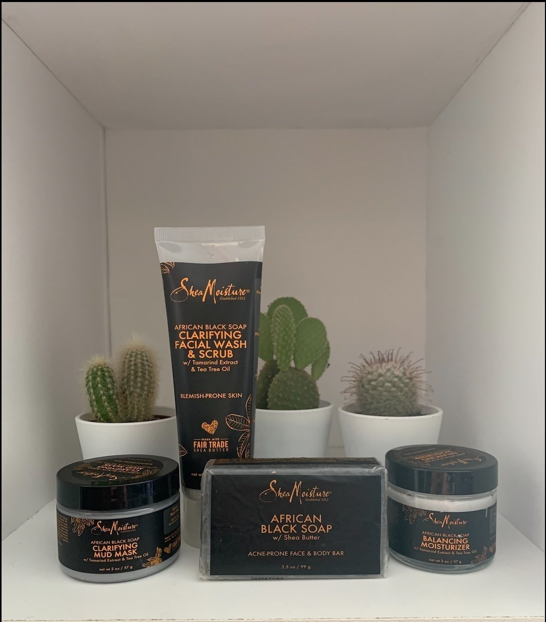 Skincare on white background with cacti.