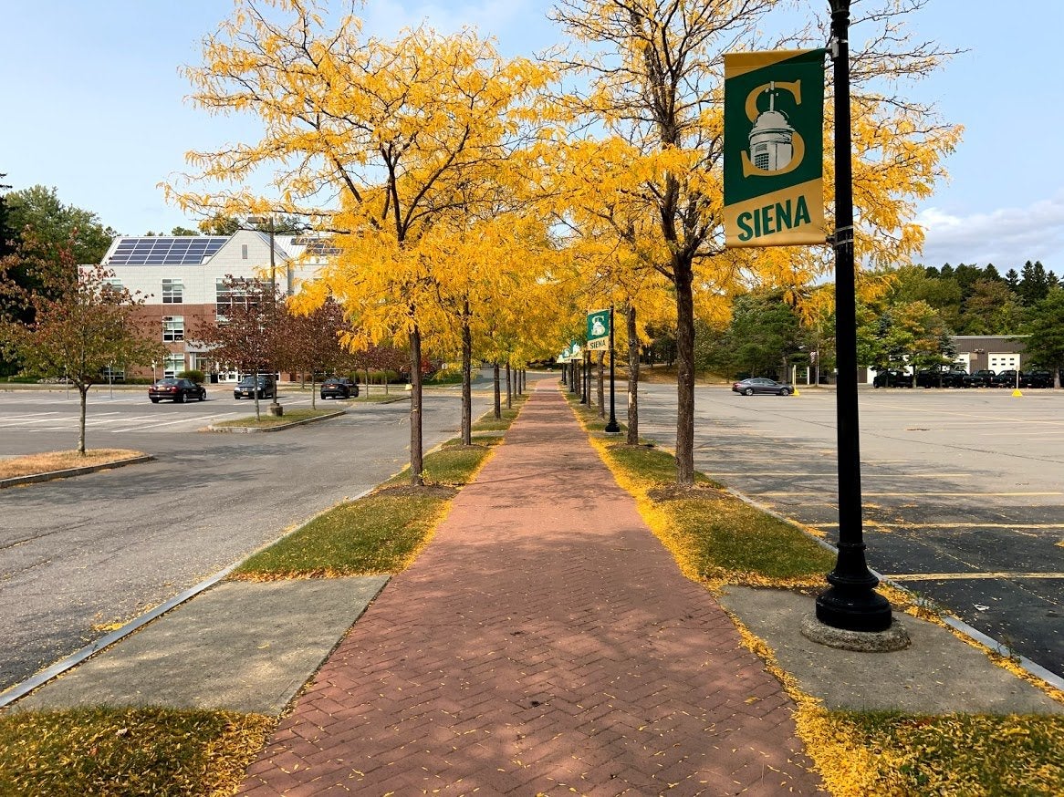 College campus path with yellow leaves