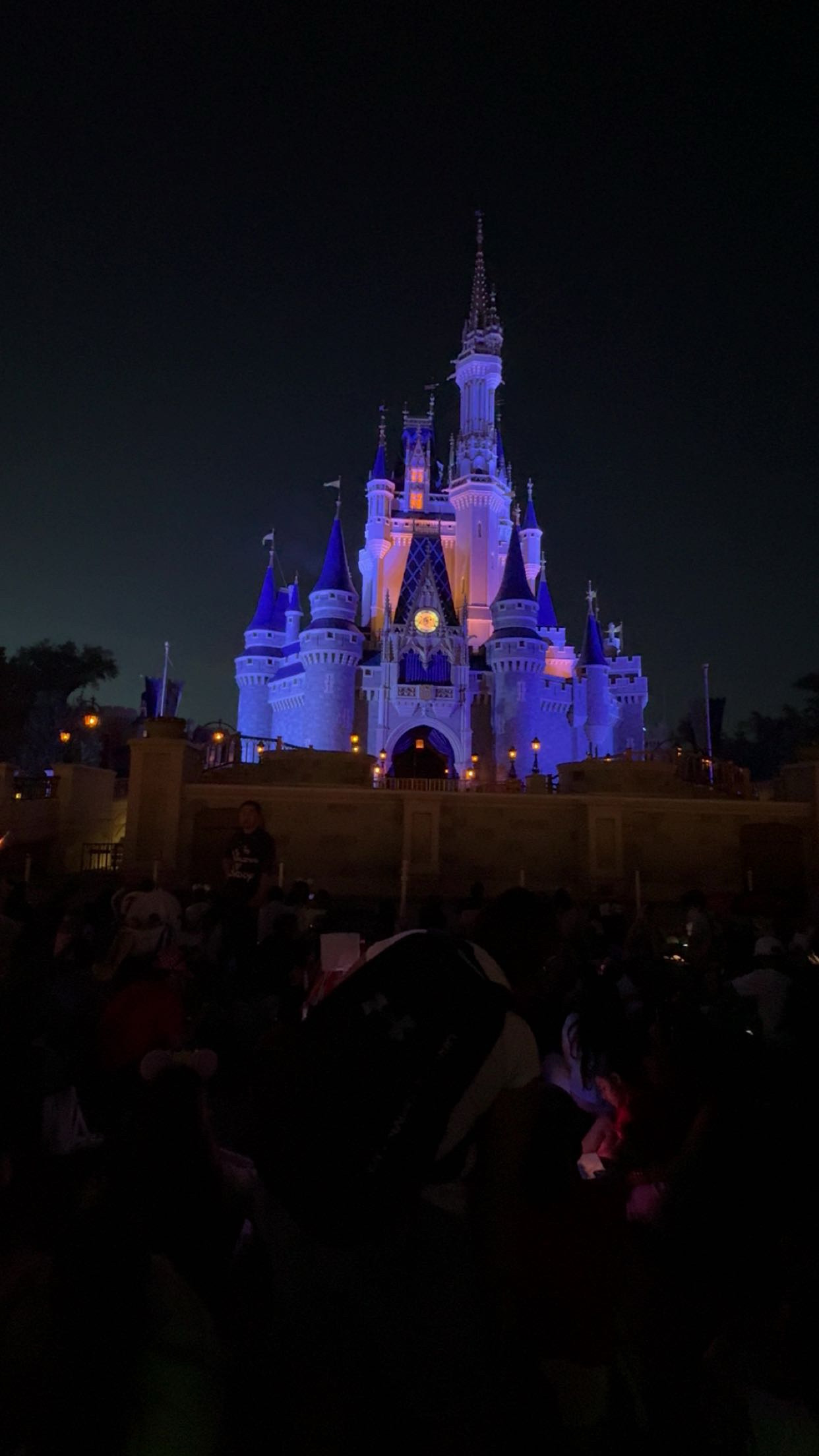 Magic Kingdom Castle that I took