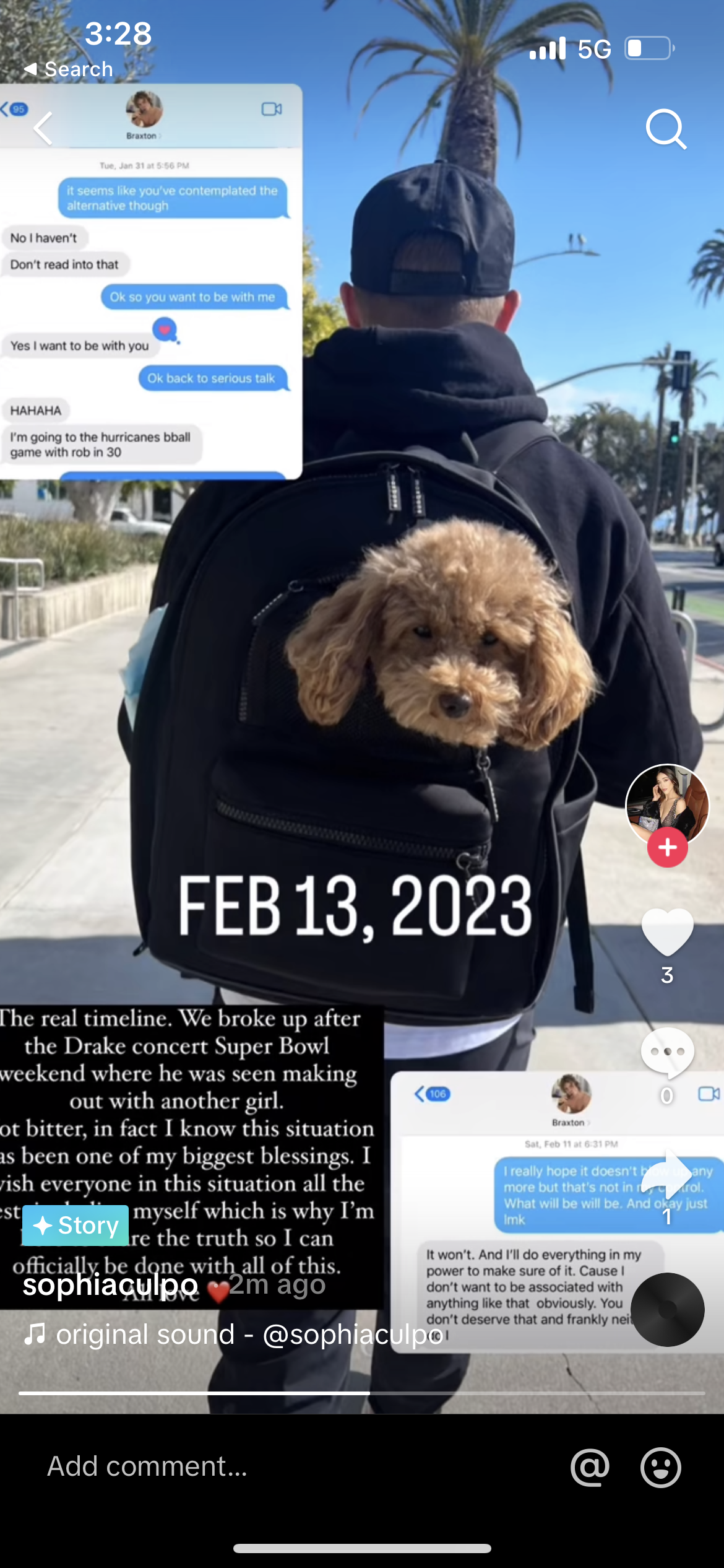 sophia culpo tiktok story