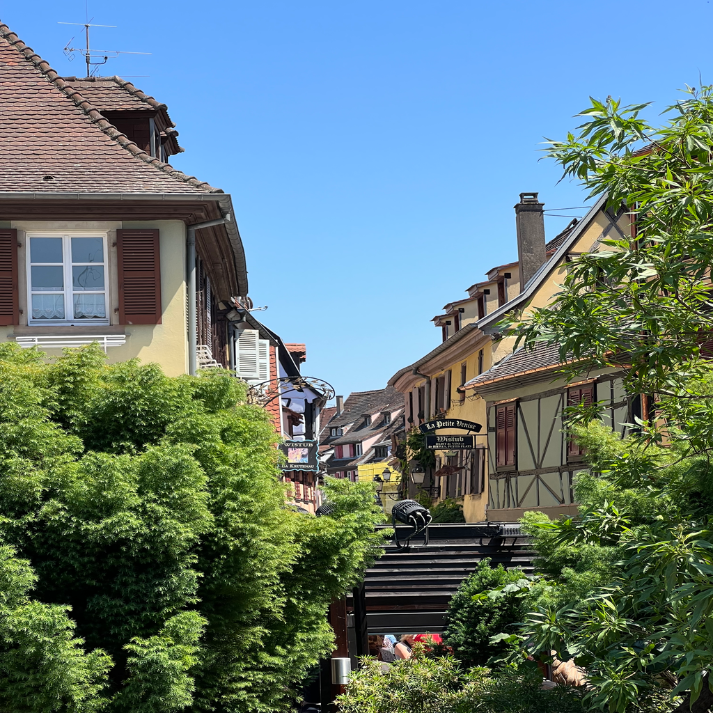 European town with greenery in foreground
