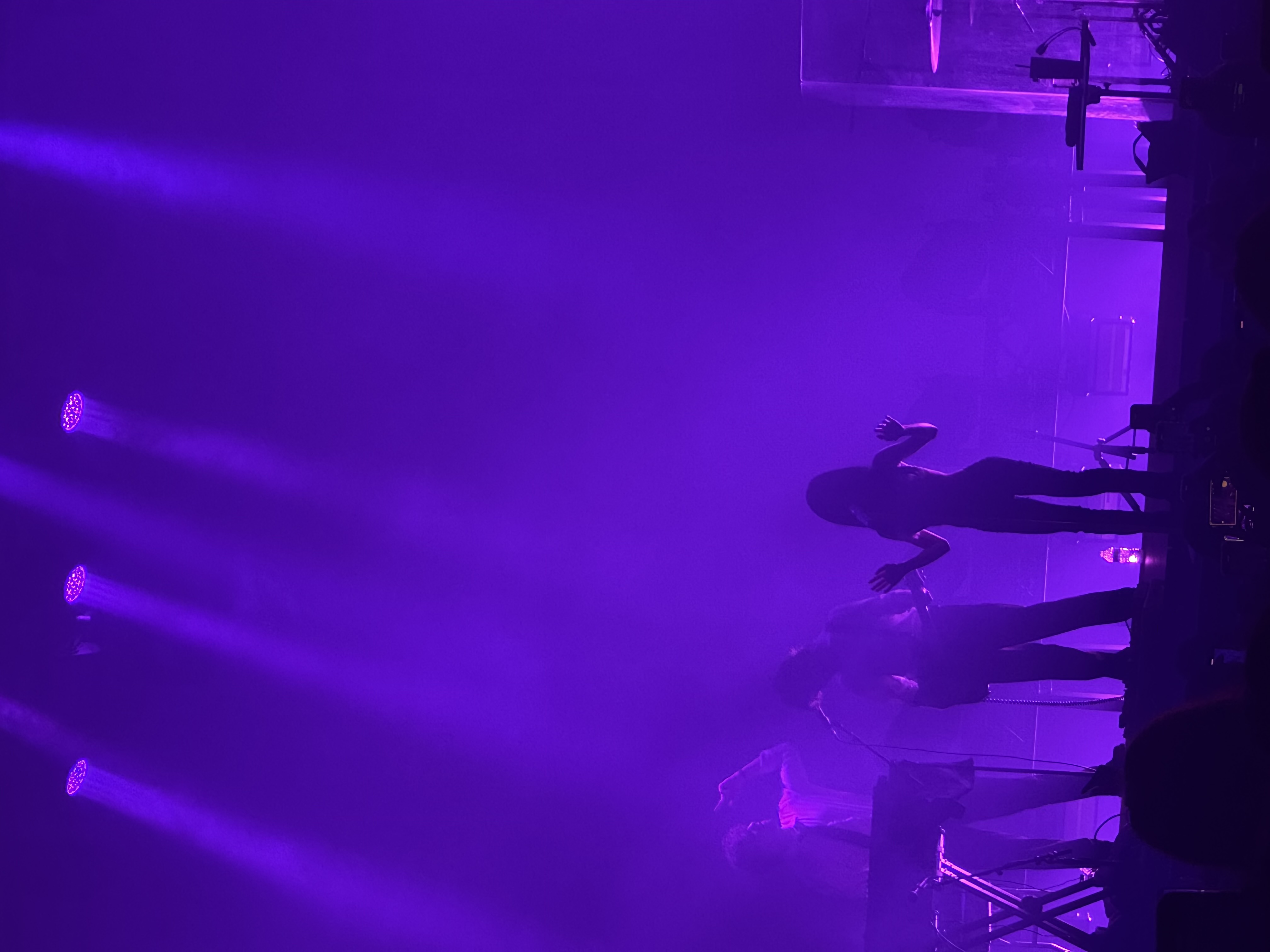 Picture of nessa at her concert