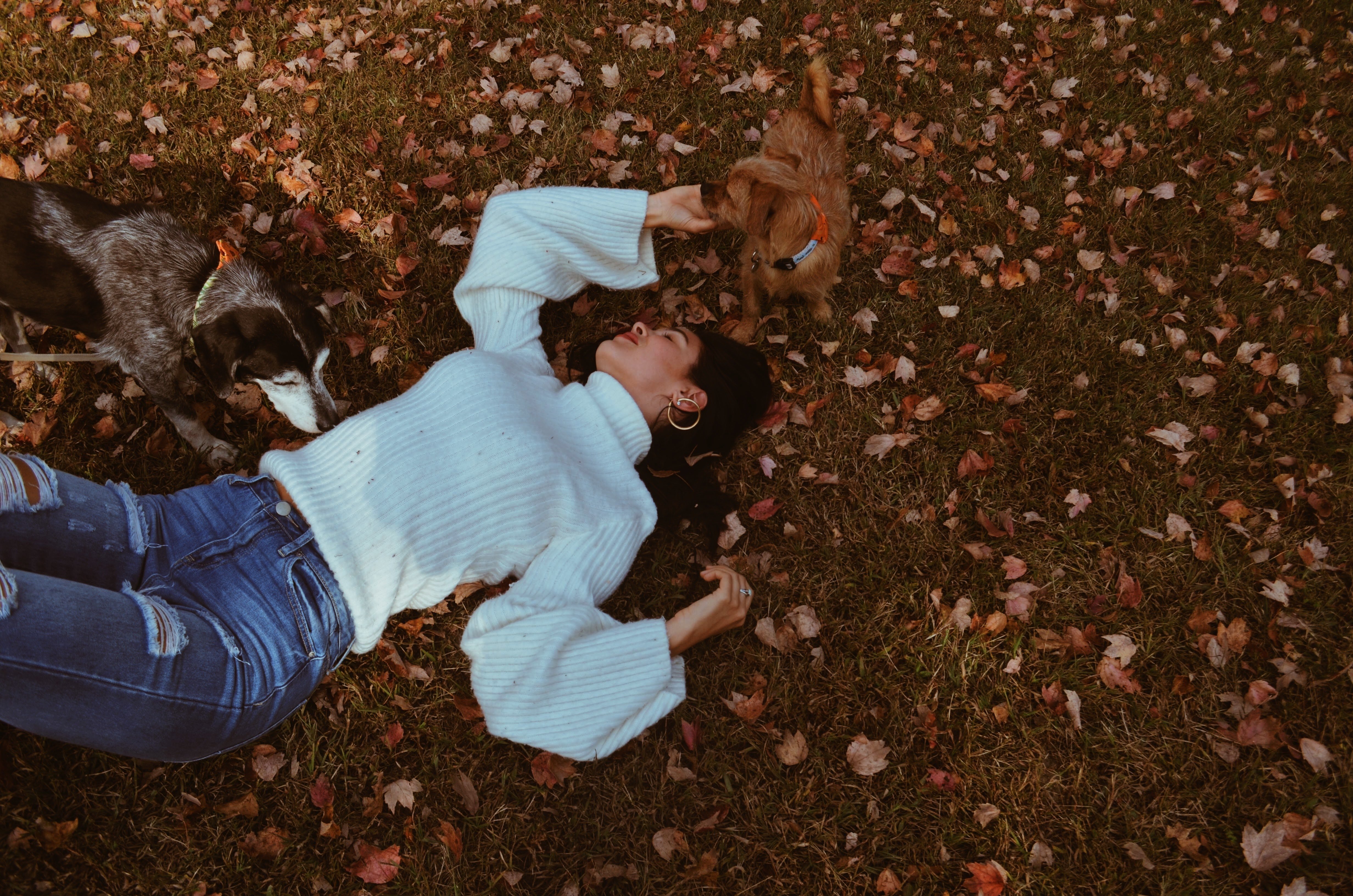 woman lying on ground with leaves by Molly Champion?width=698&height=466&fit=crop&auto=webp&dpr=4