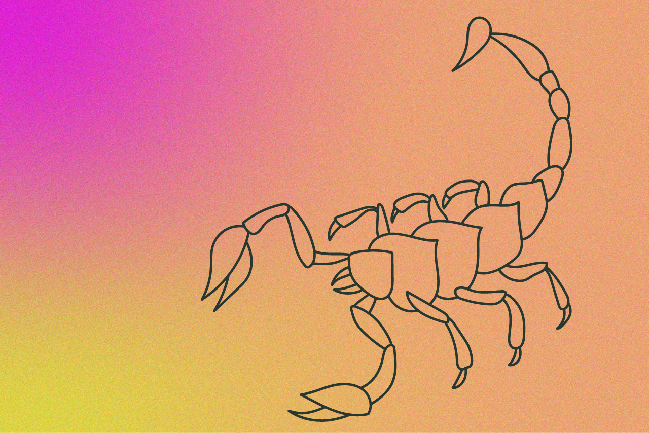 scorpio season?width=1280&height=854&fit=crop&auto=webp&dpr=4