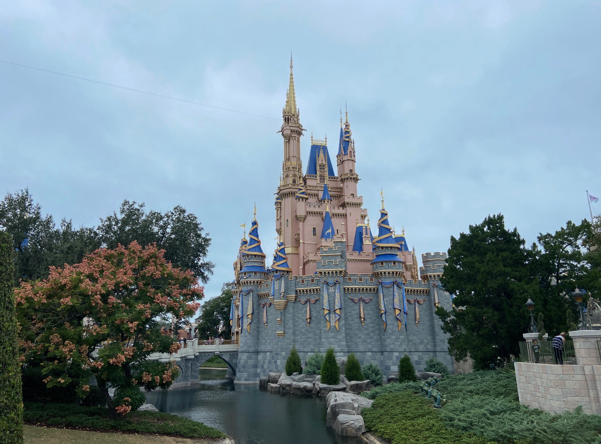 wdw mkjpg by Maggie Duckworth?width=698&height=466&fit=crop&auto=webp&dpr=4