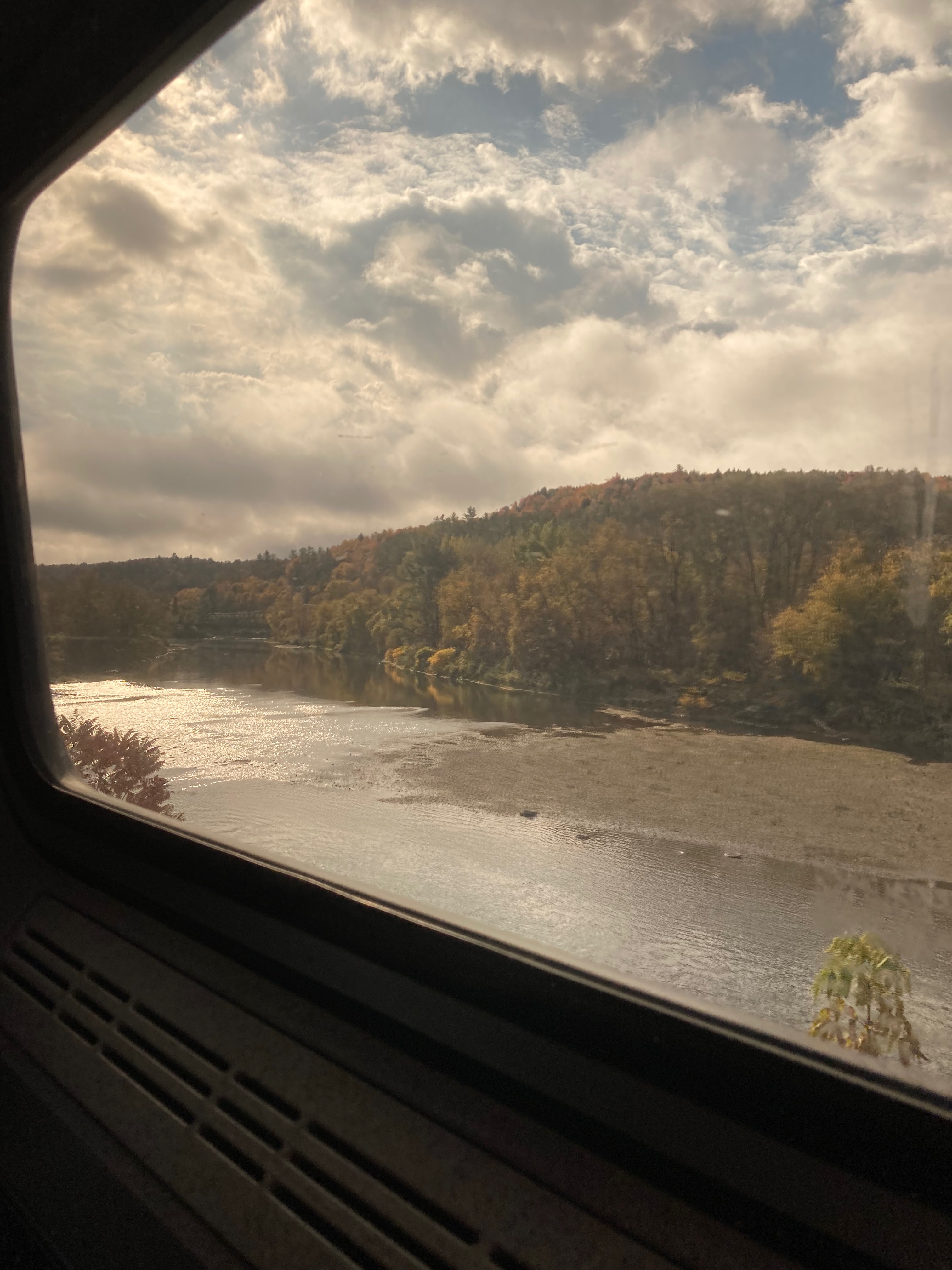 fall foliage out of a train window