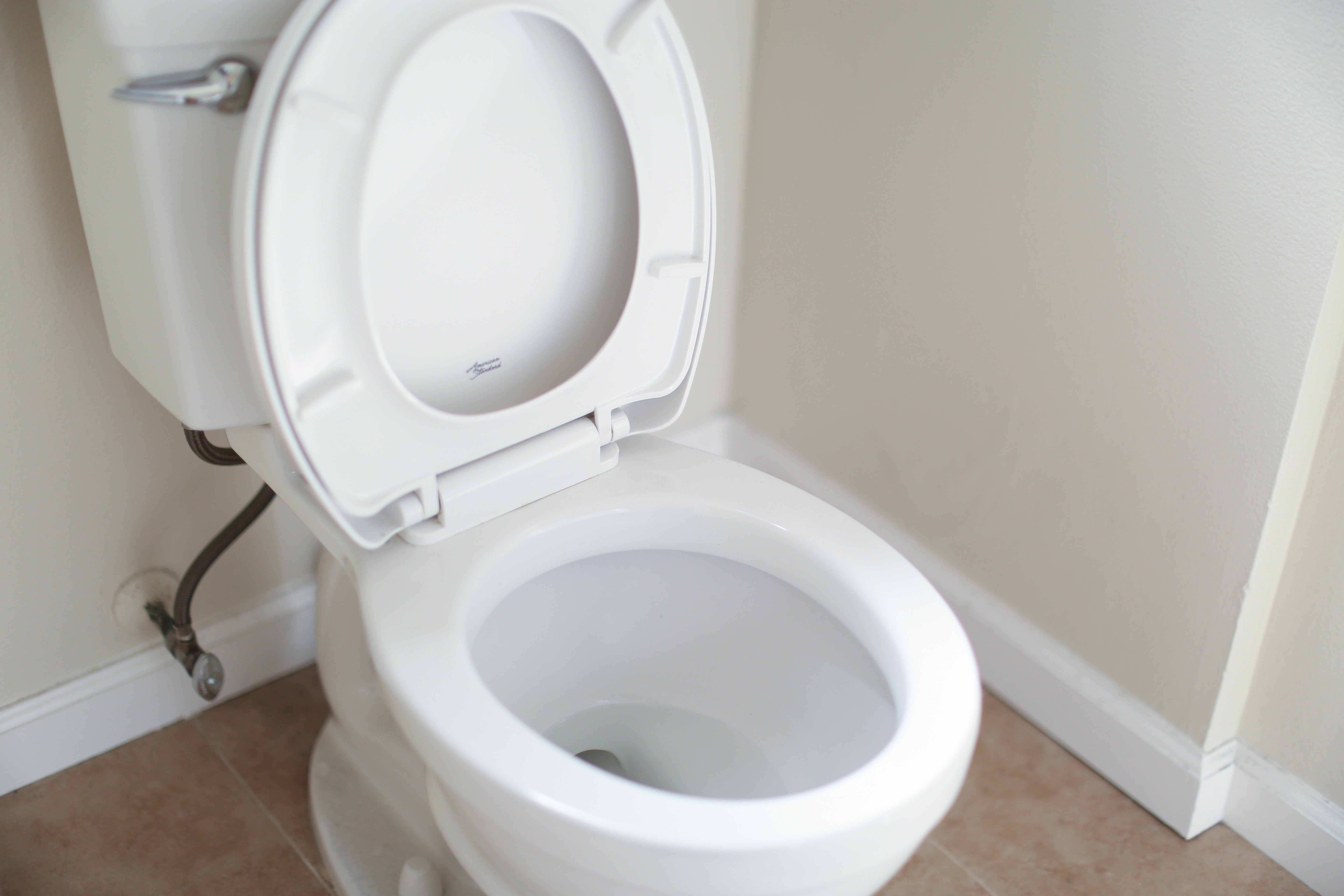 toilet seat