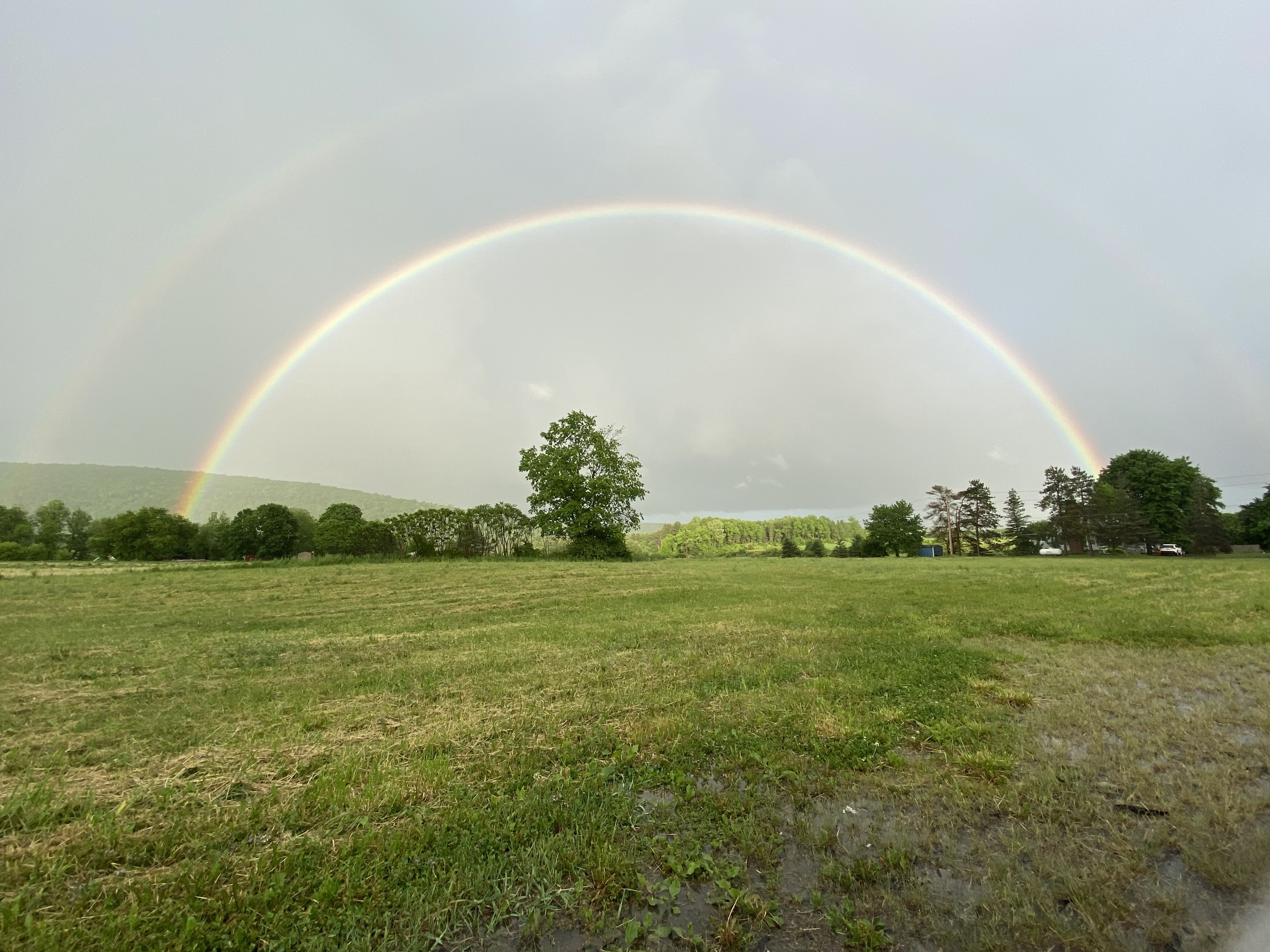 st pattys day 2025 instagram captions
