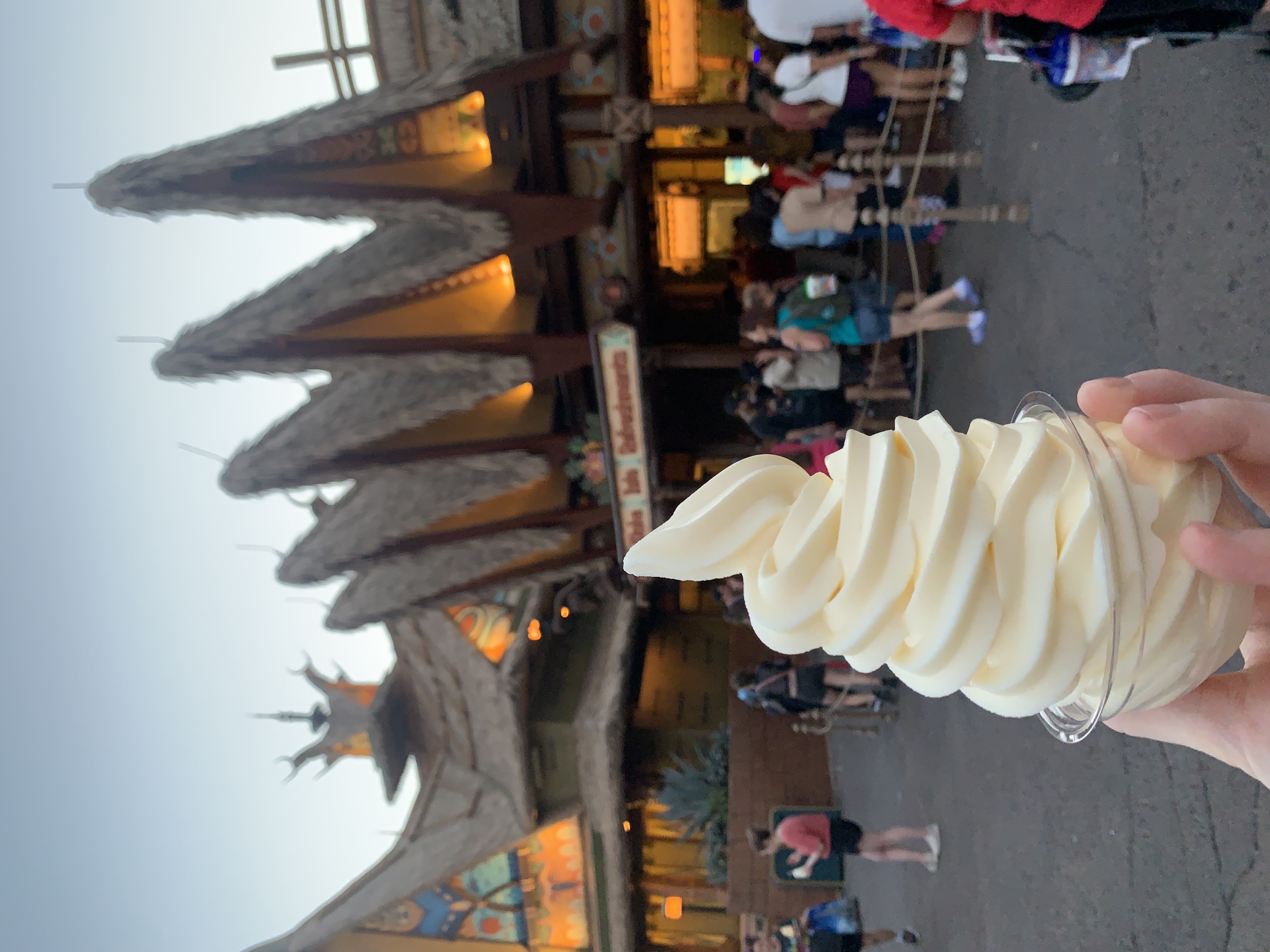 DOLE whip in Magic Kingdom