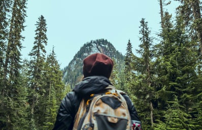 Person looking up towards mountains in a forest