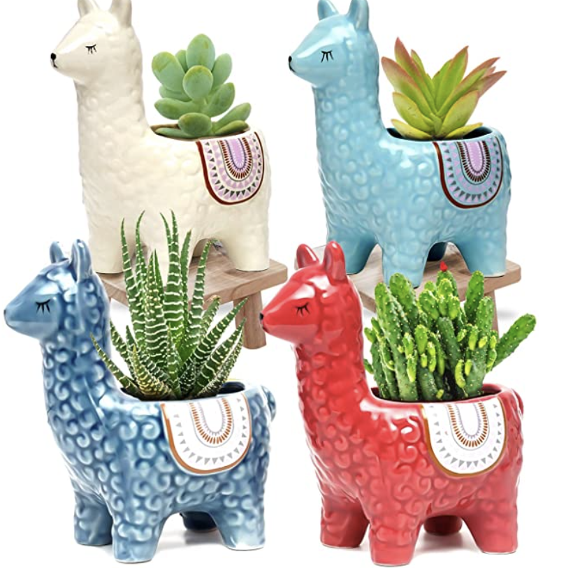 Screen Shot 2021 12 09 at 93945 AM?width=500&height=500&fit=cover&auto=webp&dpr=4