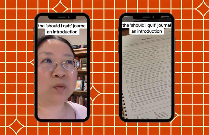 should i quit journal tiktok