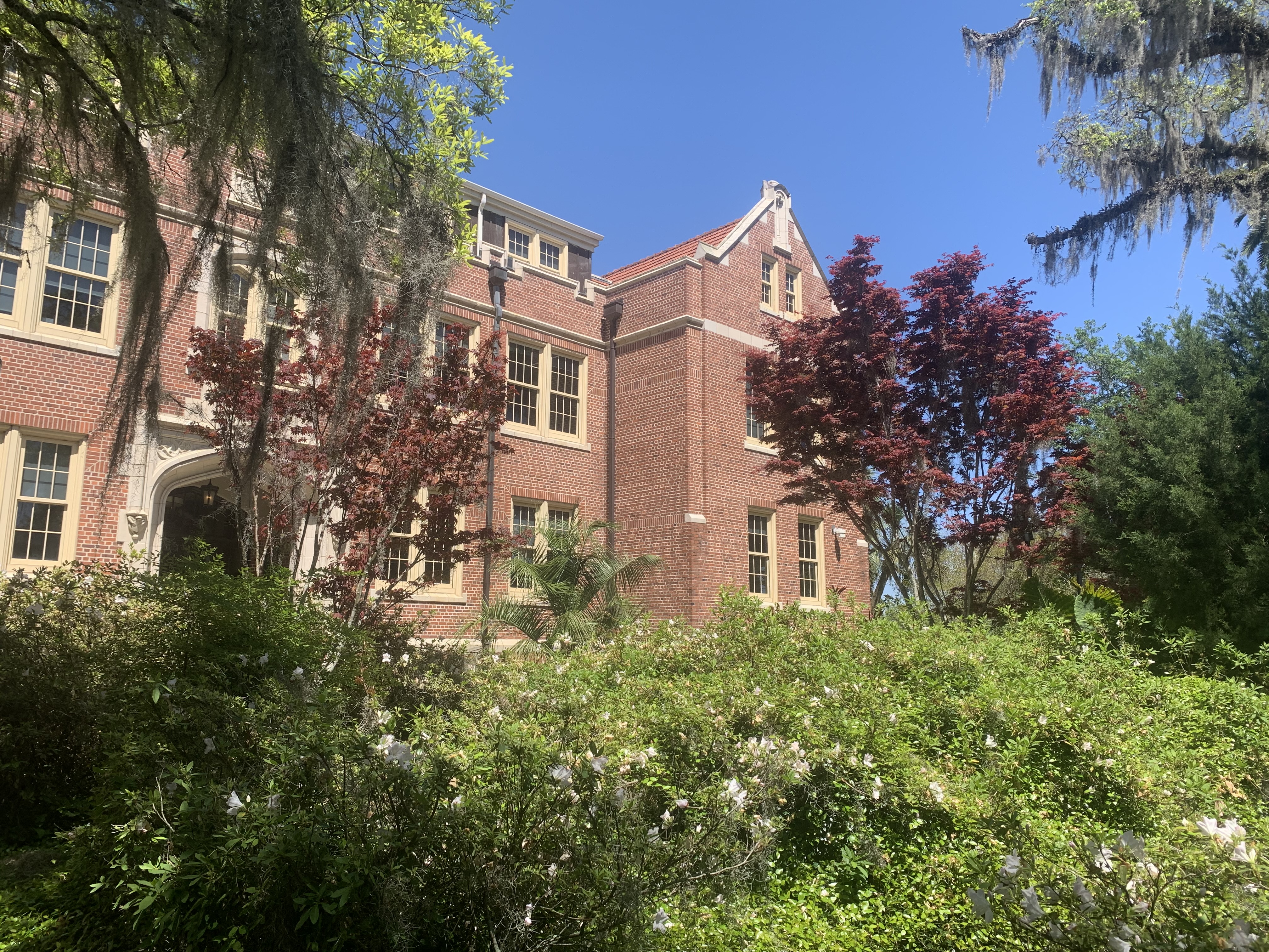 img9291jpg by Megan McEnery