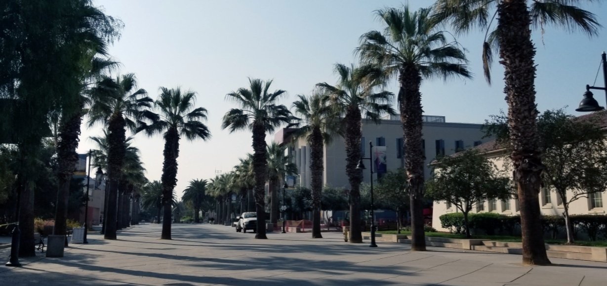 wide view of SJSU 7th street