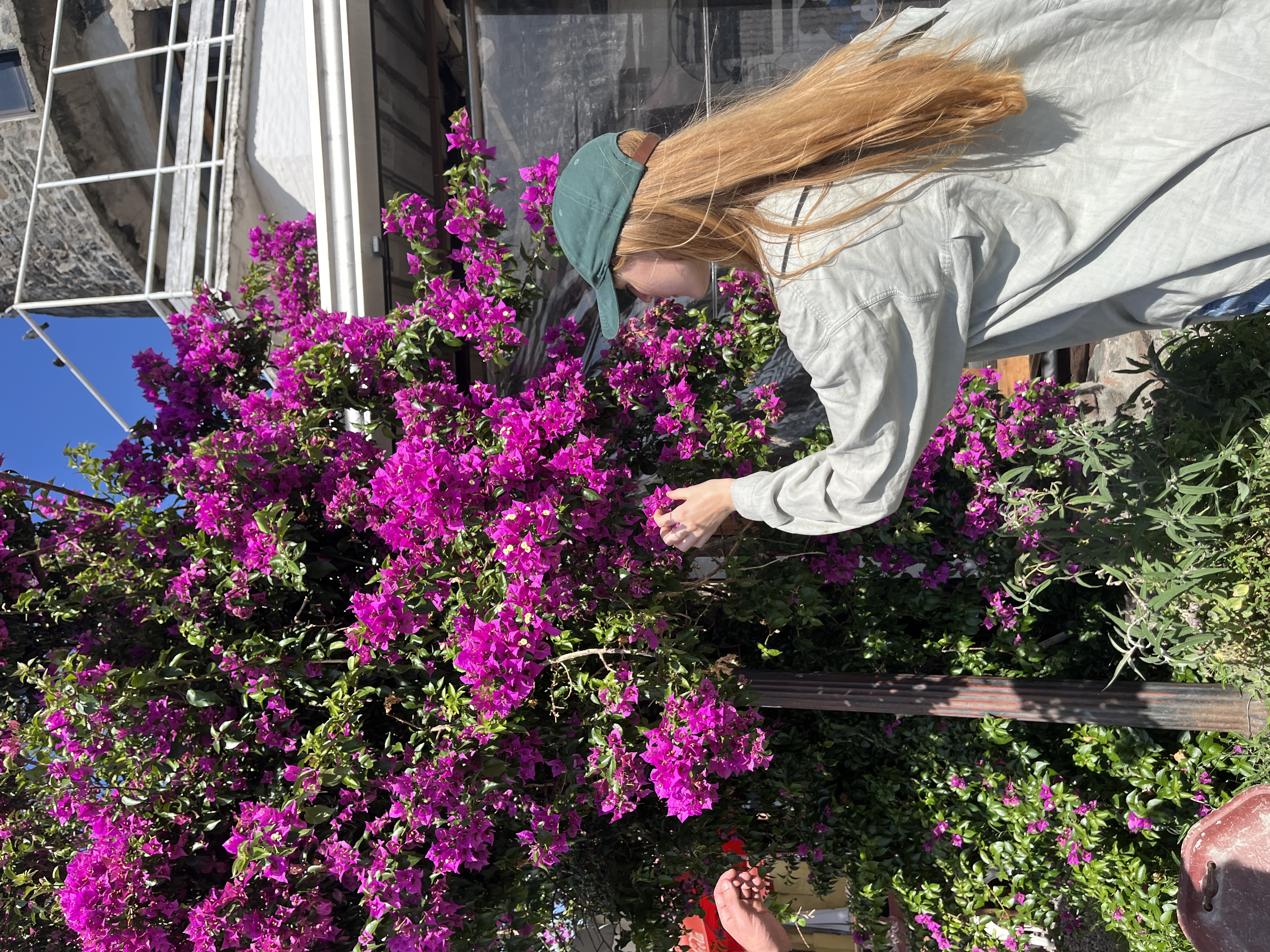 img 5299jpg by Melanie Libby?width=698&height=466&fit=crop&auto=webp&dpr=4