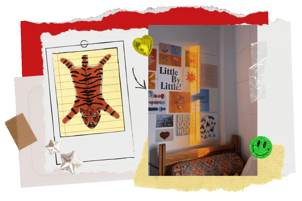 dorm decor trends?width=698&height=466&fit=crop&auto=webp&dpr=4