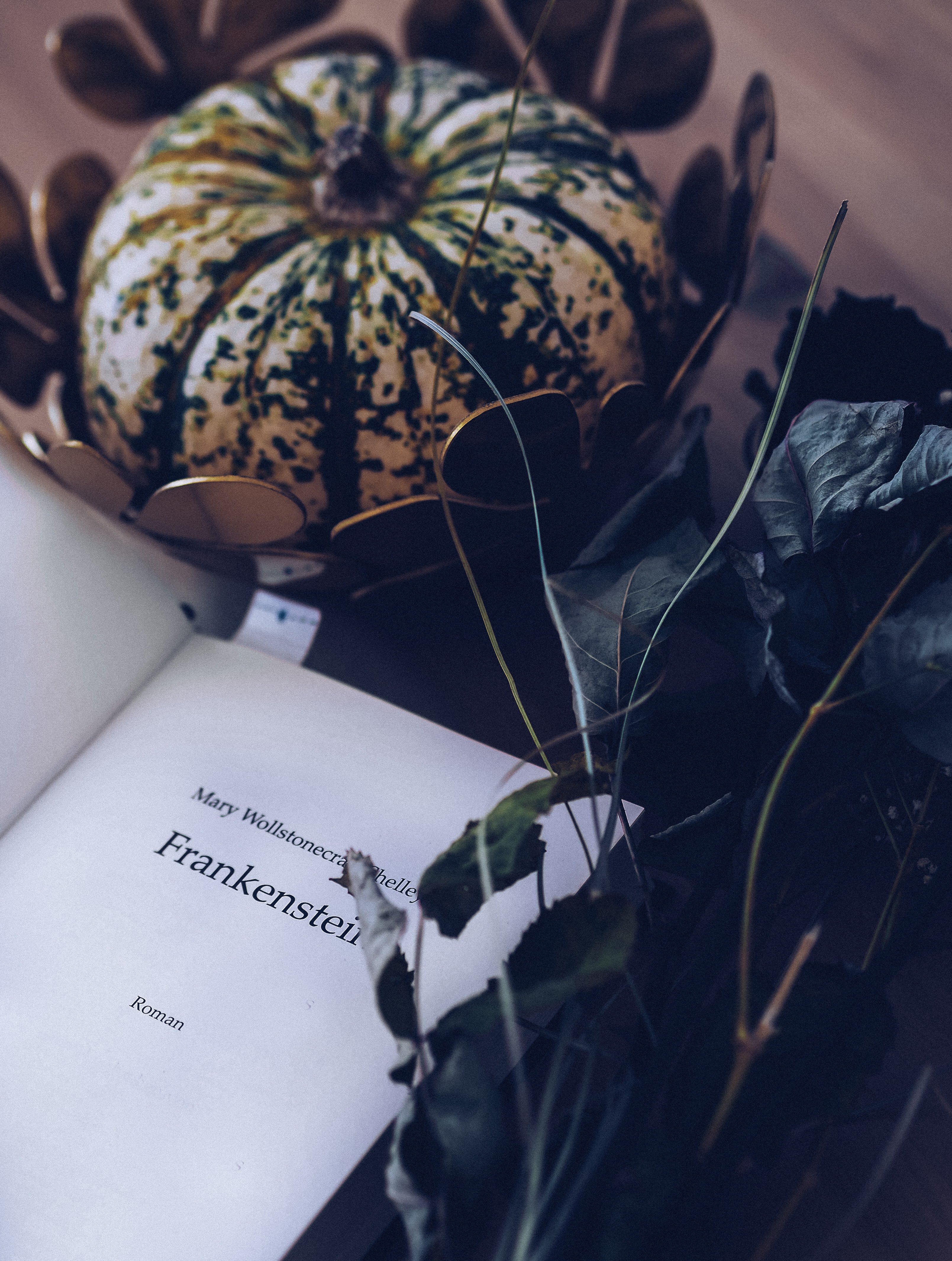 frankenstein book near pumpkin by Laura Chouette on Unsplash?width=698&height=466&fit=crop&auto=webp&dpr=4