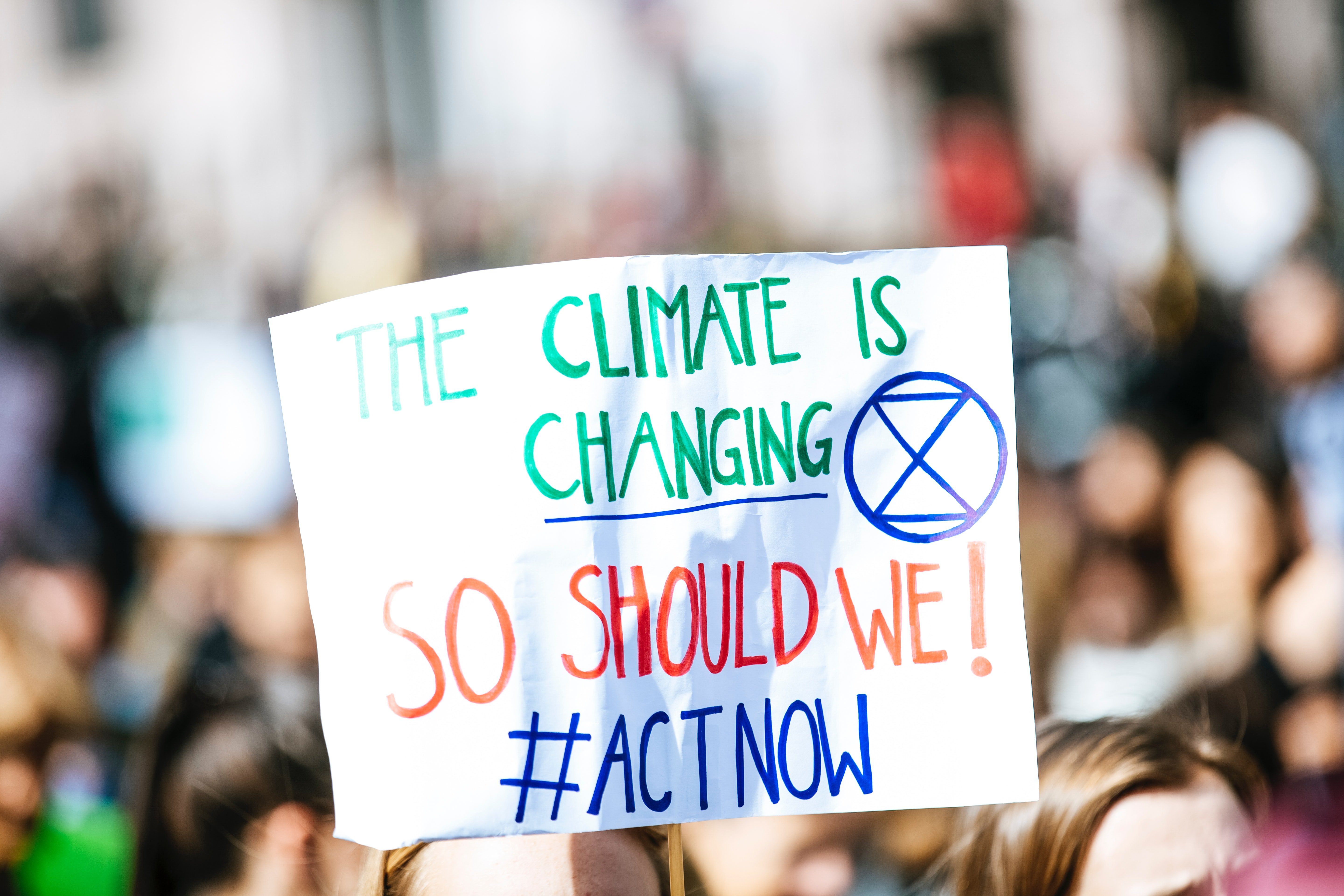 climate change protest sign by Markus Spiske on Unsplash?width=698&height=466&fit=crop&auto=webp&dpr=4