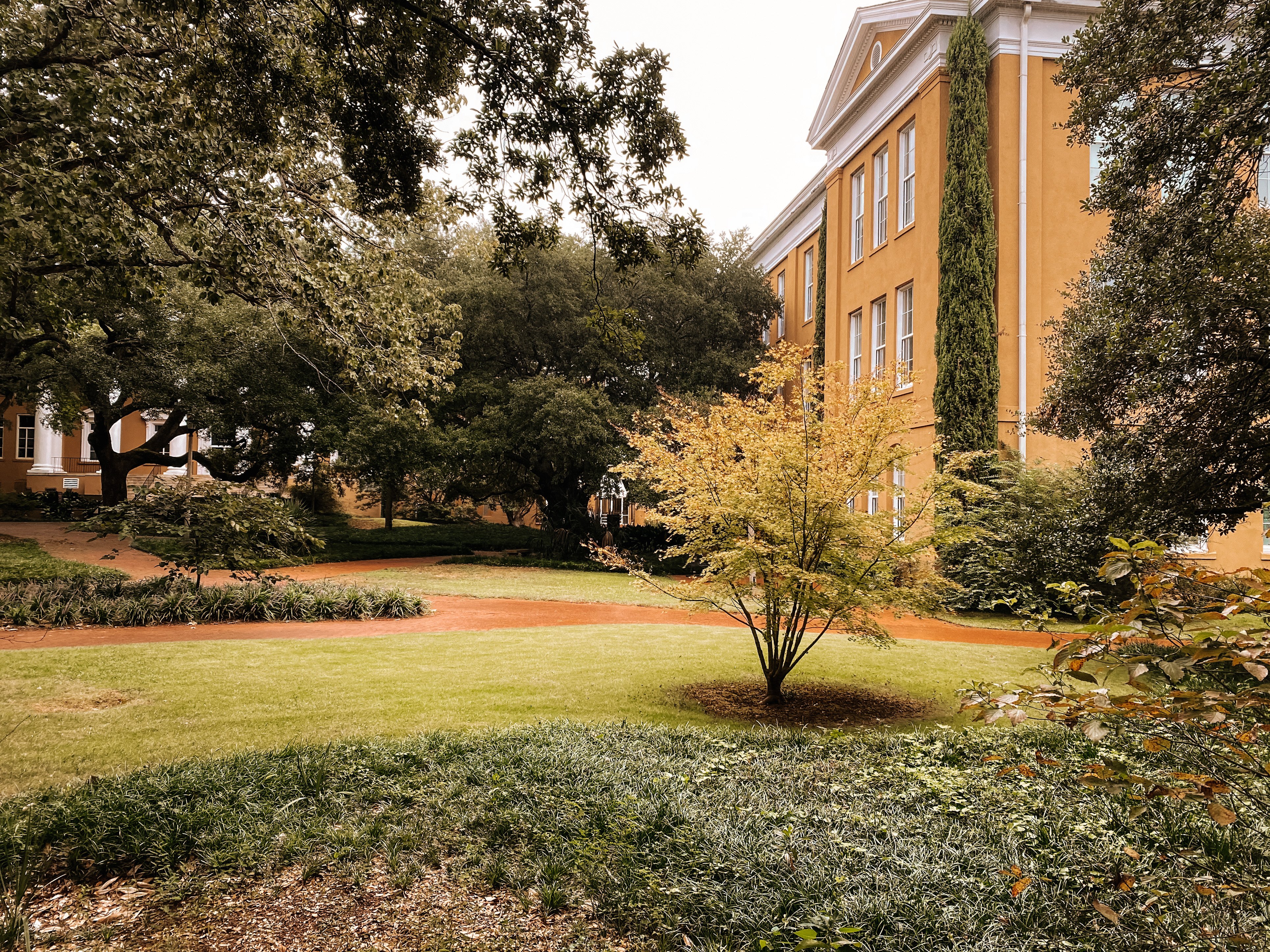 University of South Carolina by Meghan Keeler?width=698&height=466&fit=crop&auto=webp&dpr=4