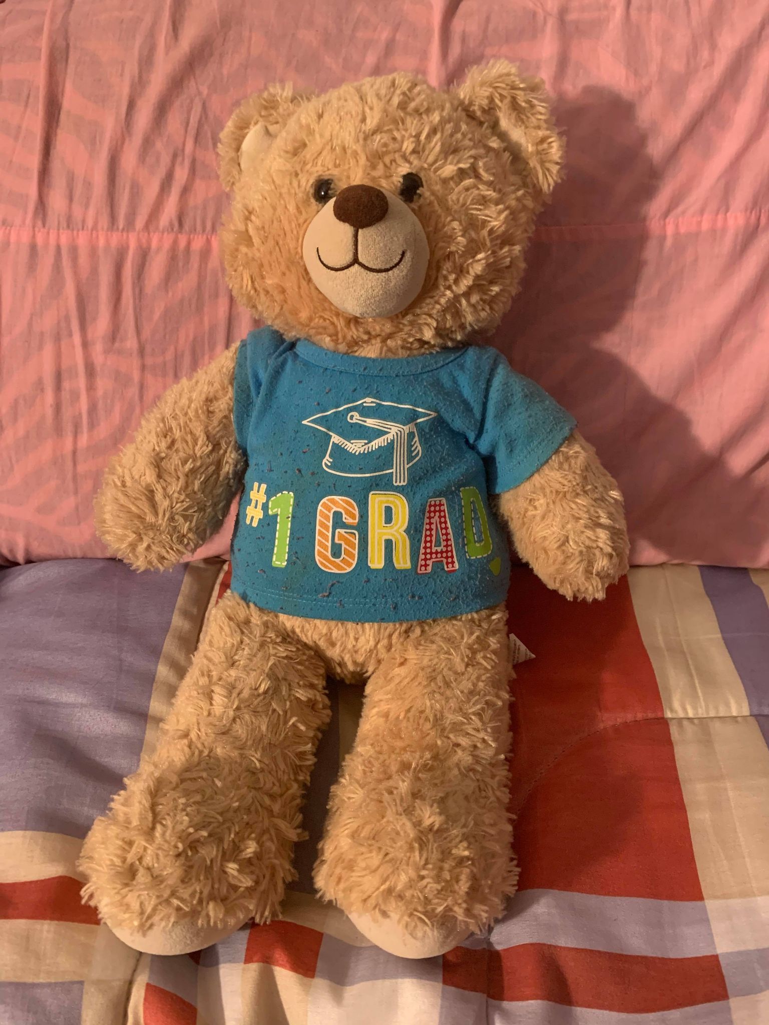 cute graduation bear