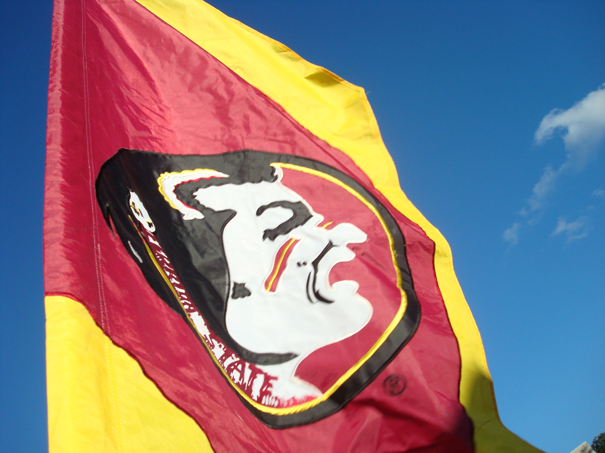 Florida State University Seminole flag