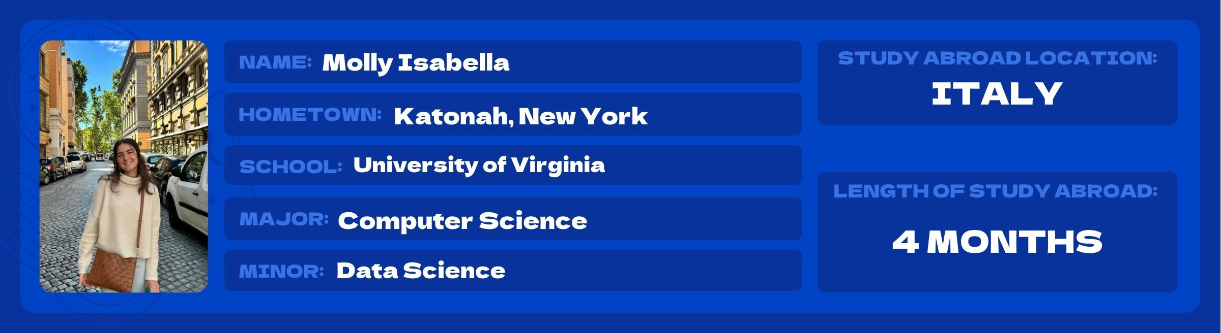 mollysew?width=1024&height=1024&fit=cover&auto=webp&dpr=4