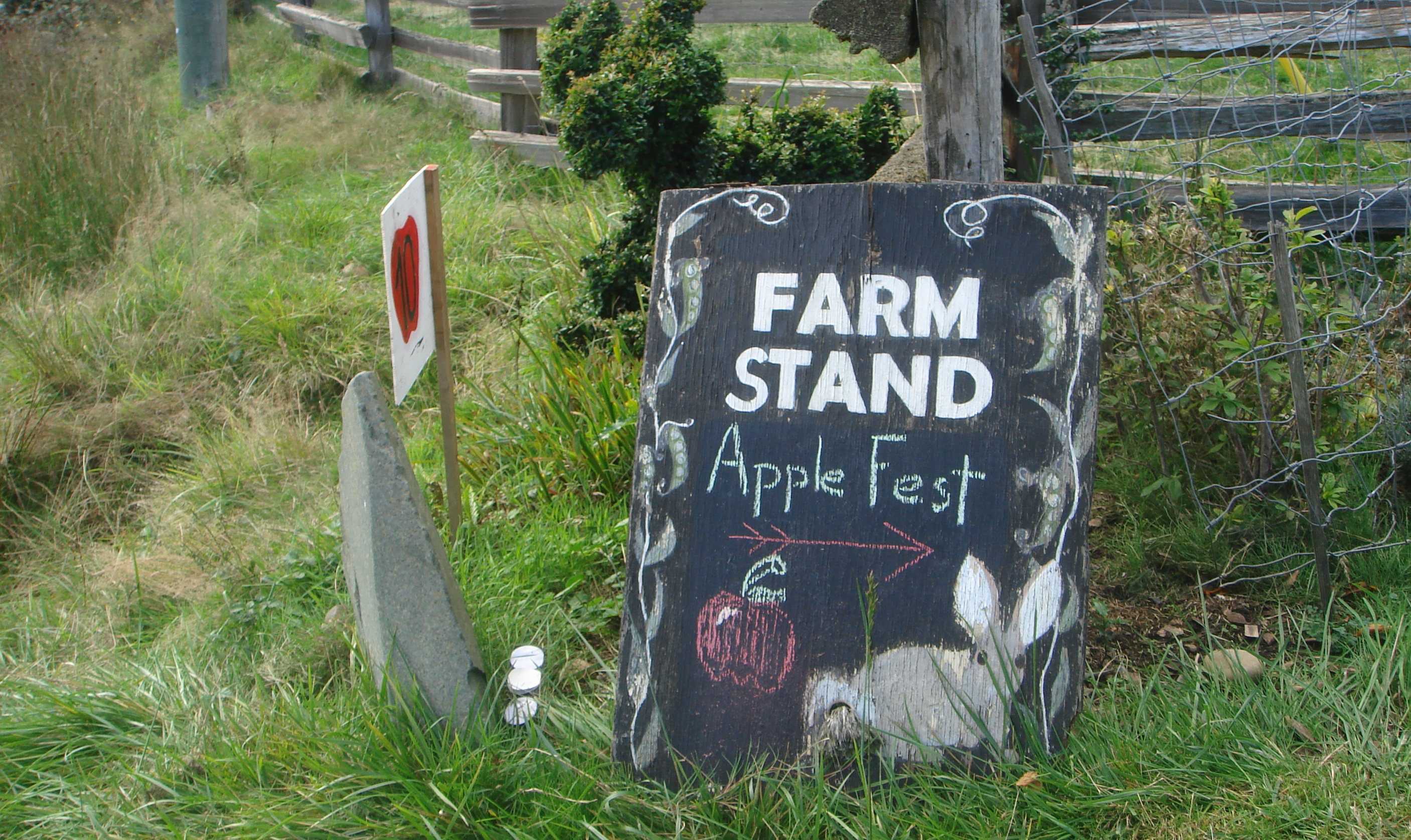 farm stand sign in grass with apples on it