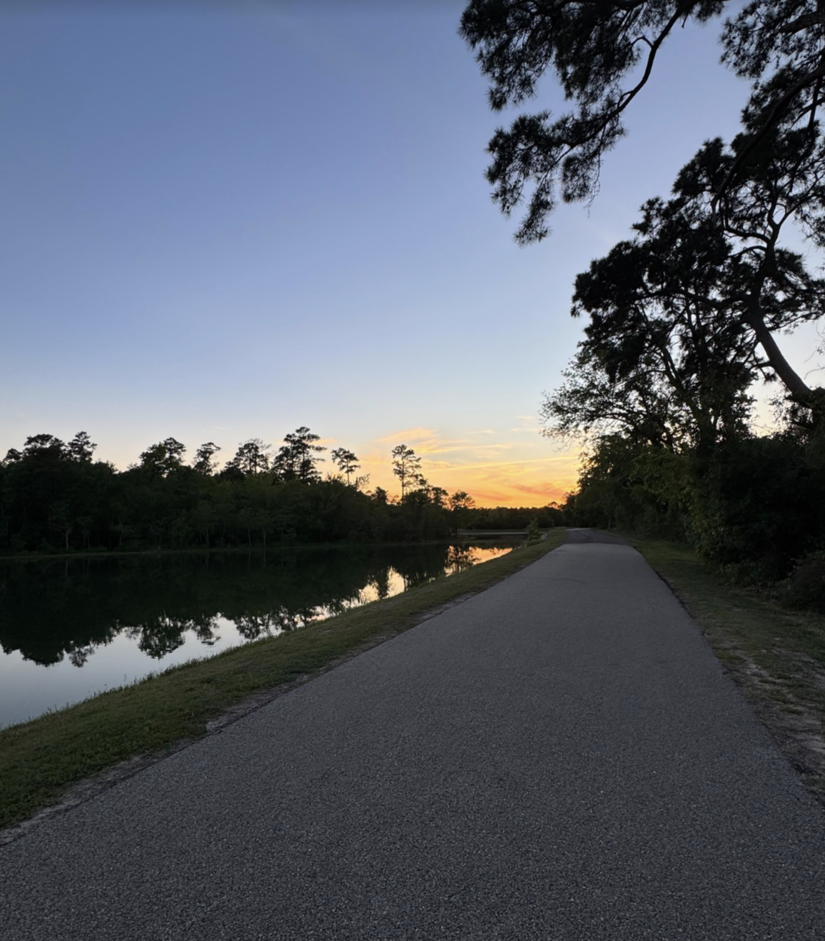 Screenshot 2026 04 08 at 33909PM?width=1024&height=1024&fit=cover&auto=webp&dpr=4