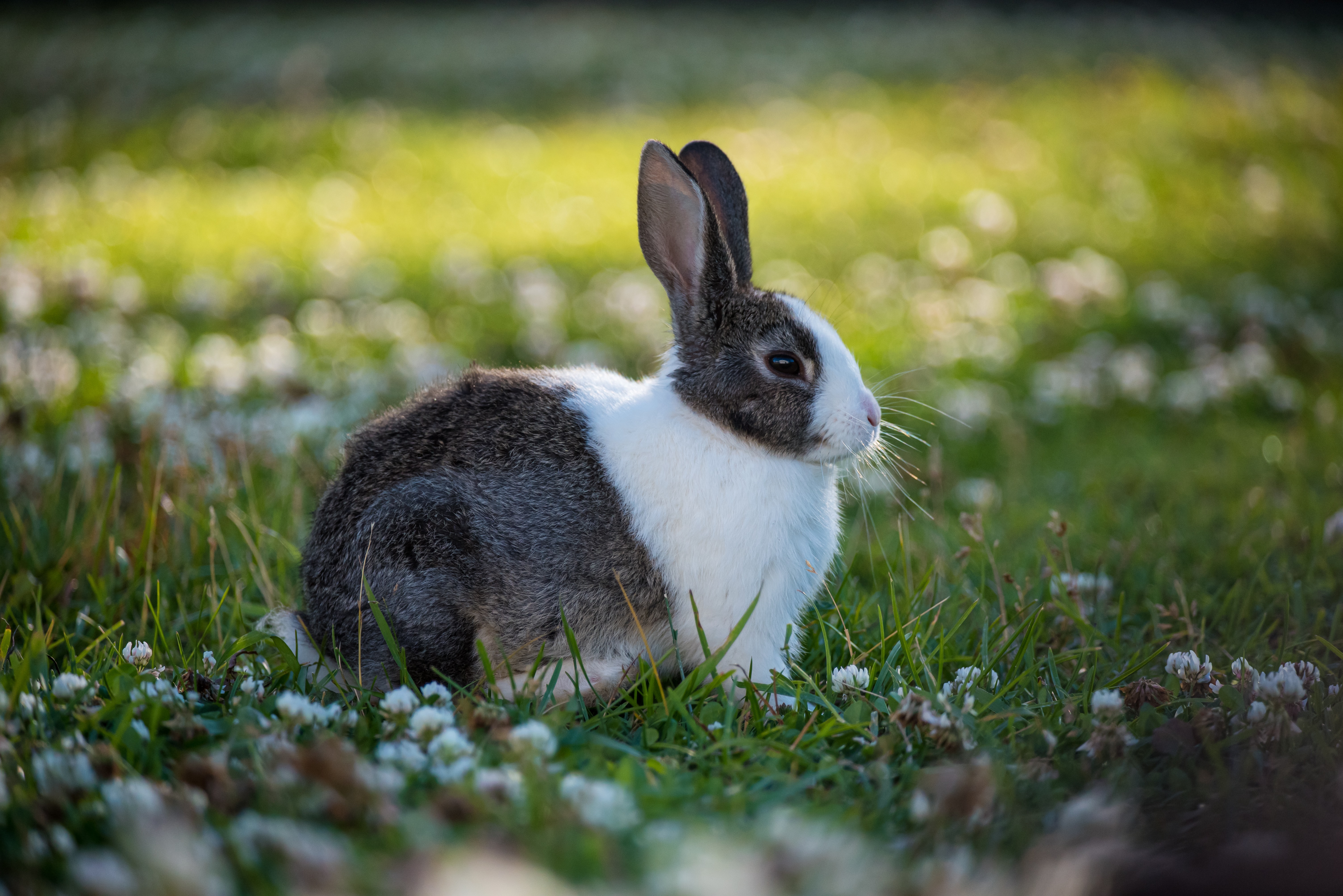 irinababinazut5pbsvudmunsplashjpg by Irina Babina?width=698&height=466&fit=crop&auto=webp&dpr=4