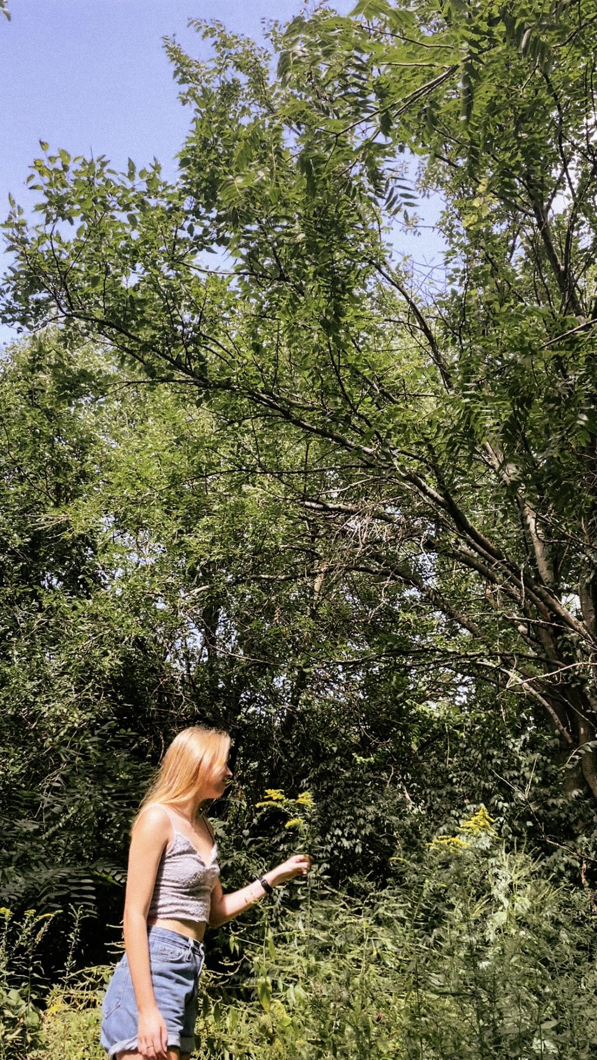 img 9203jpg by Millie Dean