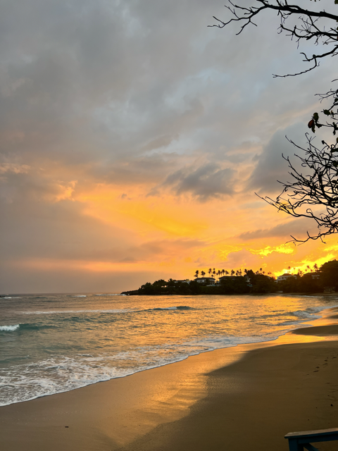 Cofresi Palm Beach Resort and Spa Dominican Republic