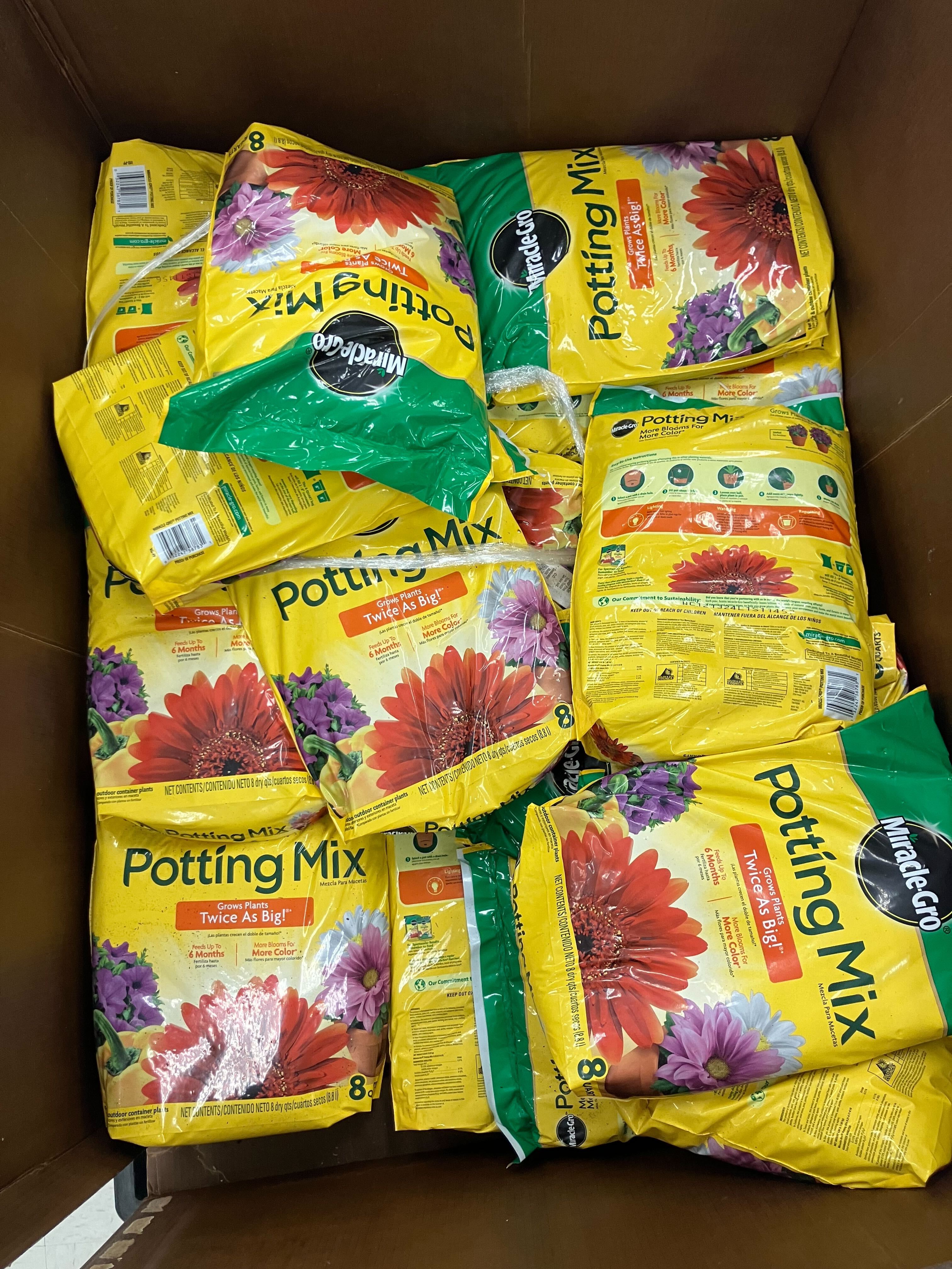 img 2493jpg by EV Beyers?width=698&height=466&fit=crop&auto=webp&dpr=4