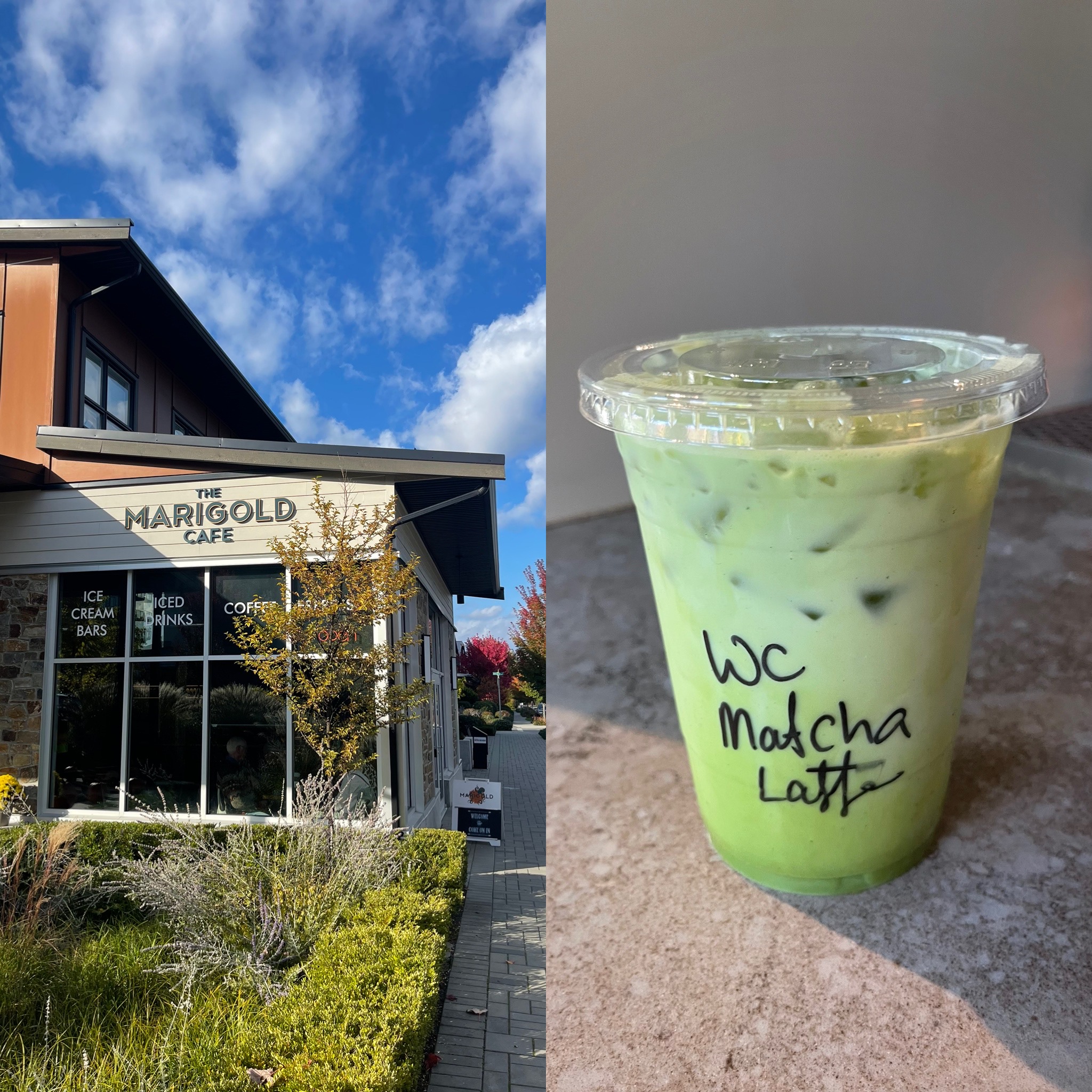 Matcha Latte and Marigold Cafe
