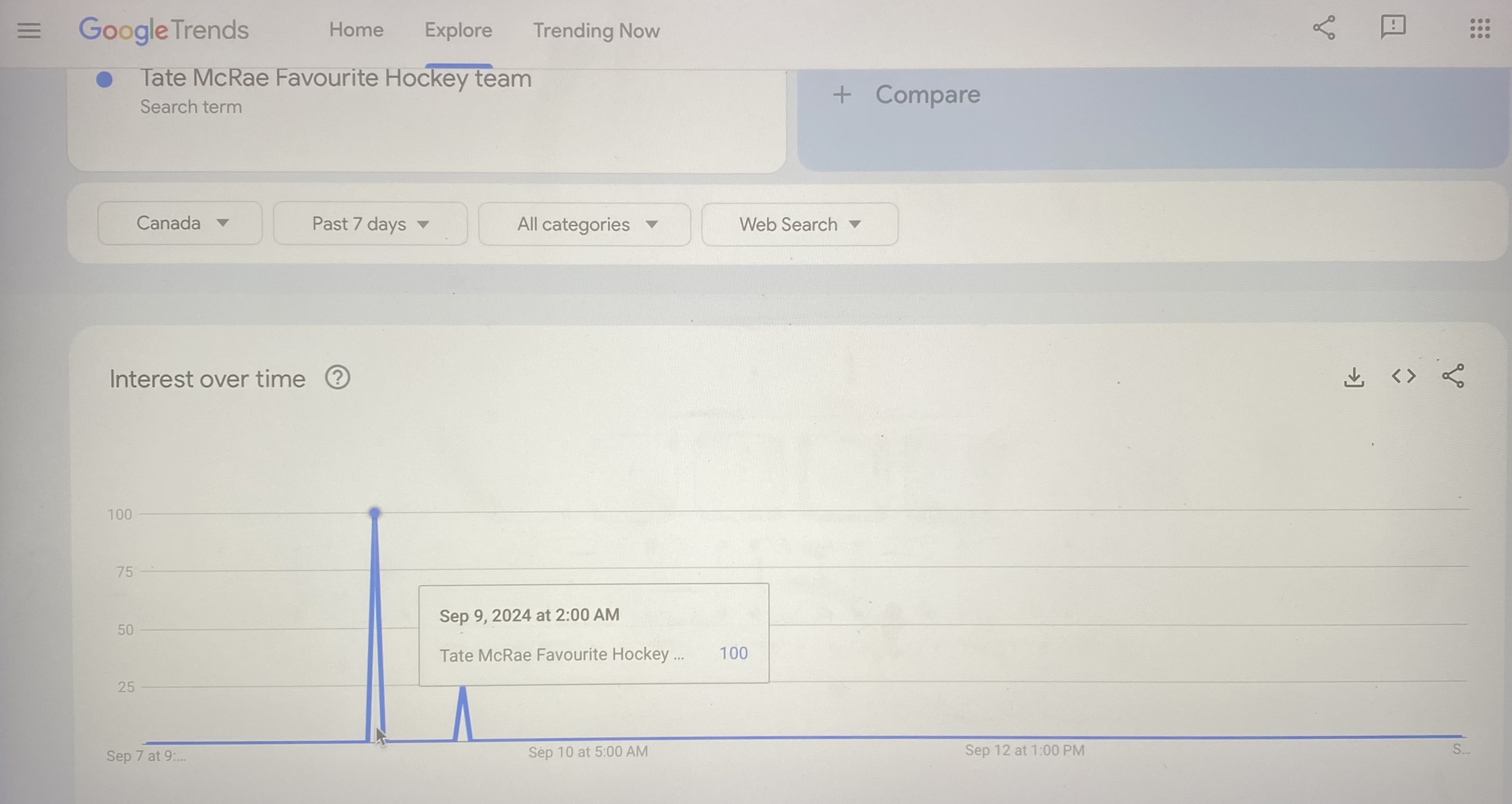 screenshot of google trends