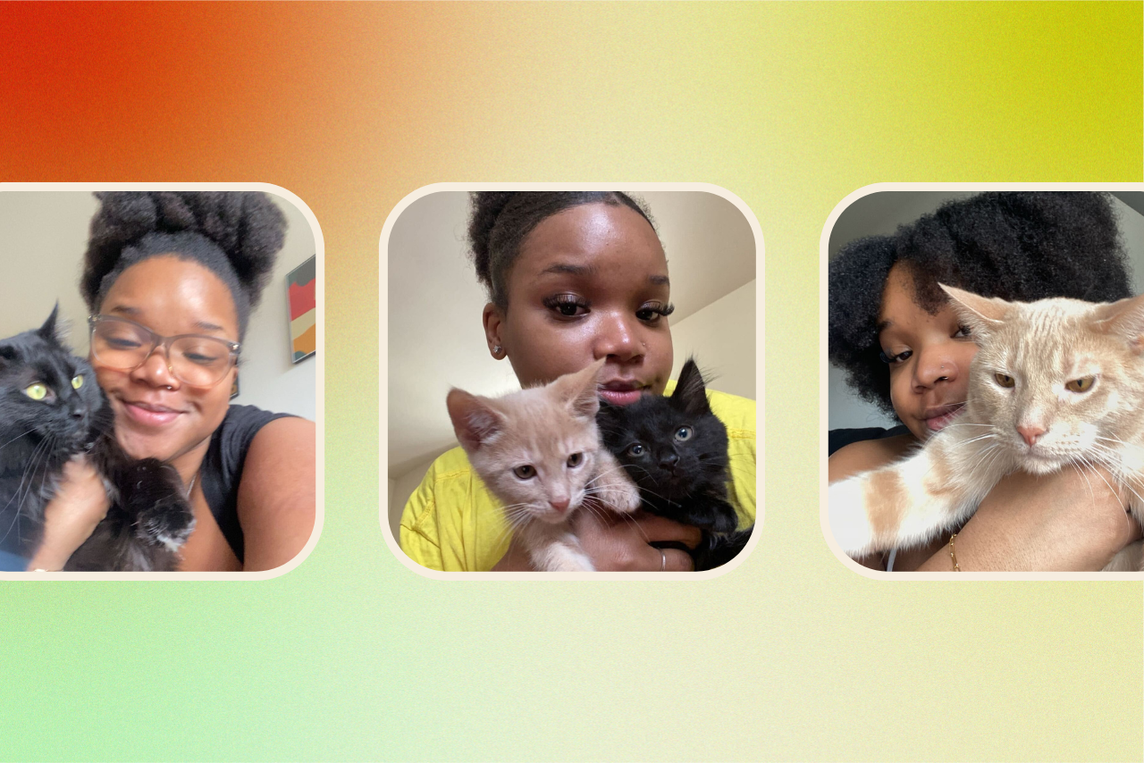 my ESA saved my life?width=698&height=466&fit=crop&auto=webp&dpr=4