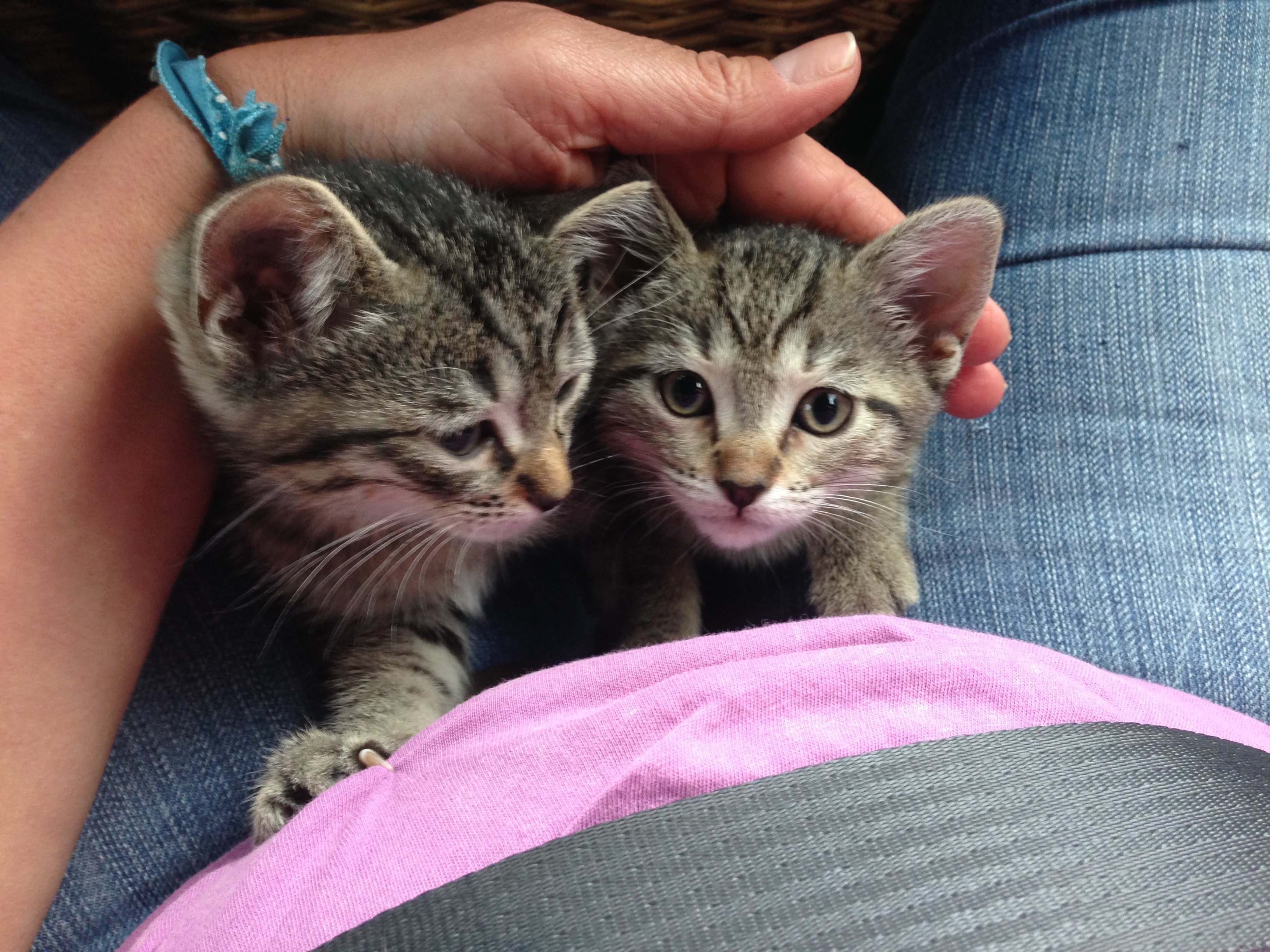 img 3075jpg by Patricia Sietz?width=698&height=466&fit=crop&auto=webp&dpr=4