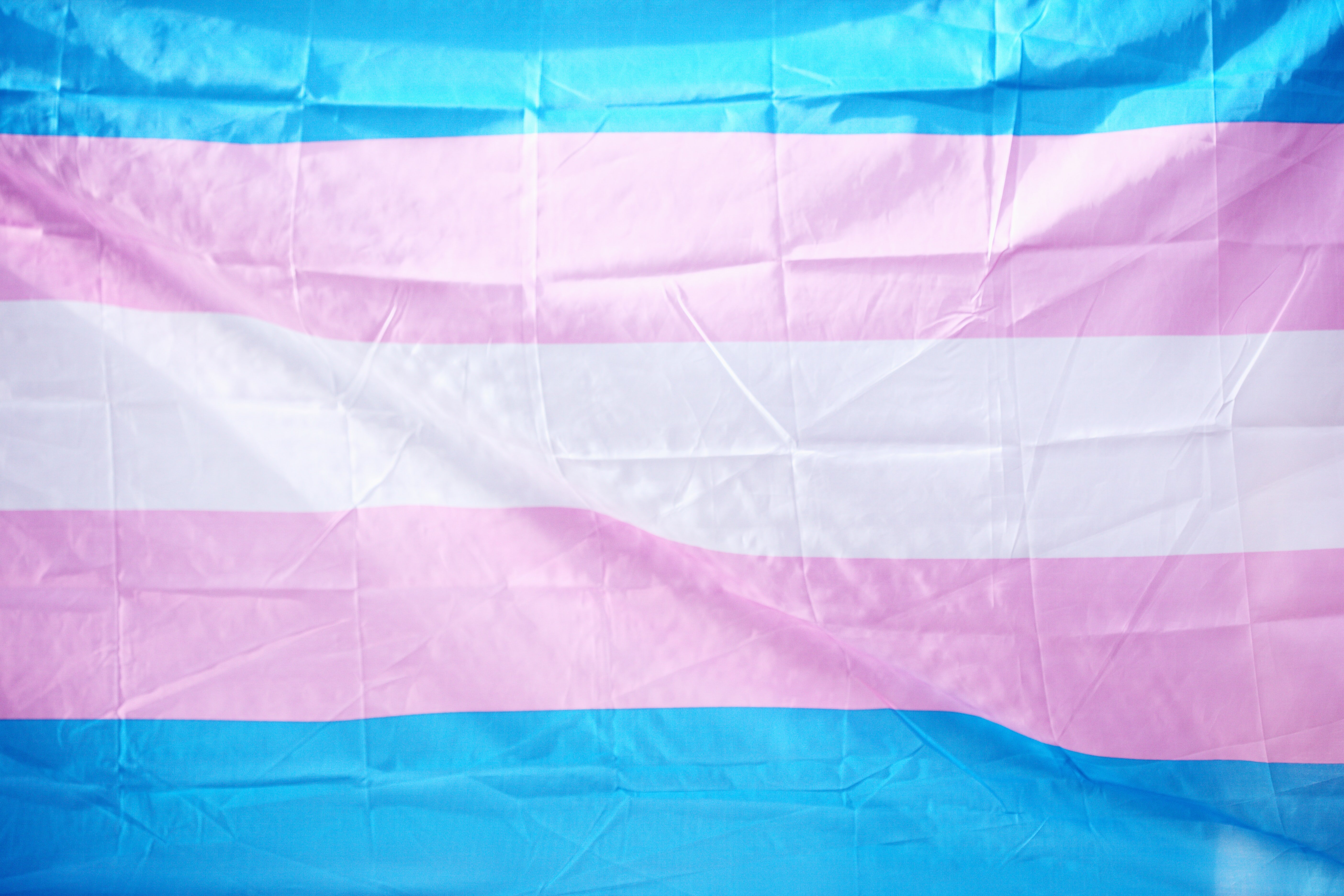 Transgender flag by Sharon McCutcheon?width=698&height=466&fit=crop&auto=webp&dpr=4