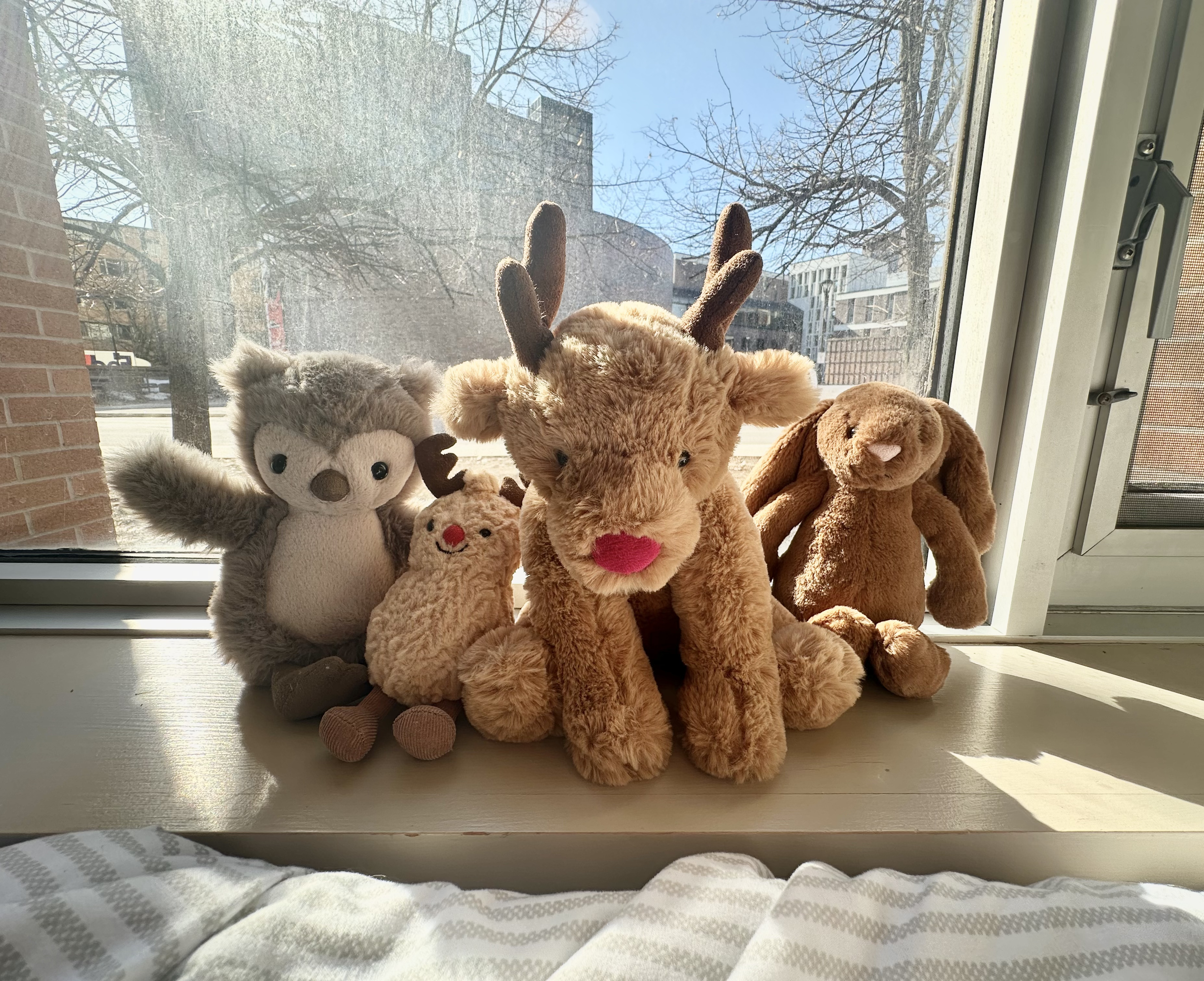 img 6901jpg by Lynn Robchinsky?width=698&height=466&fit=crop&auto=webp&dpr=4