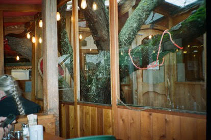 inside cafe with tree in middle and wood around it