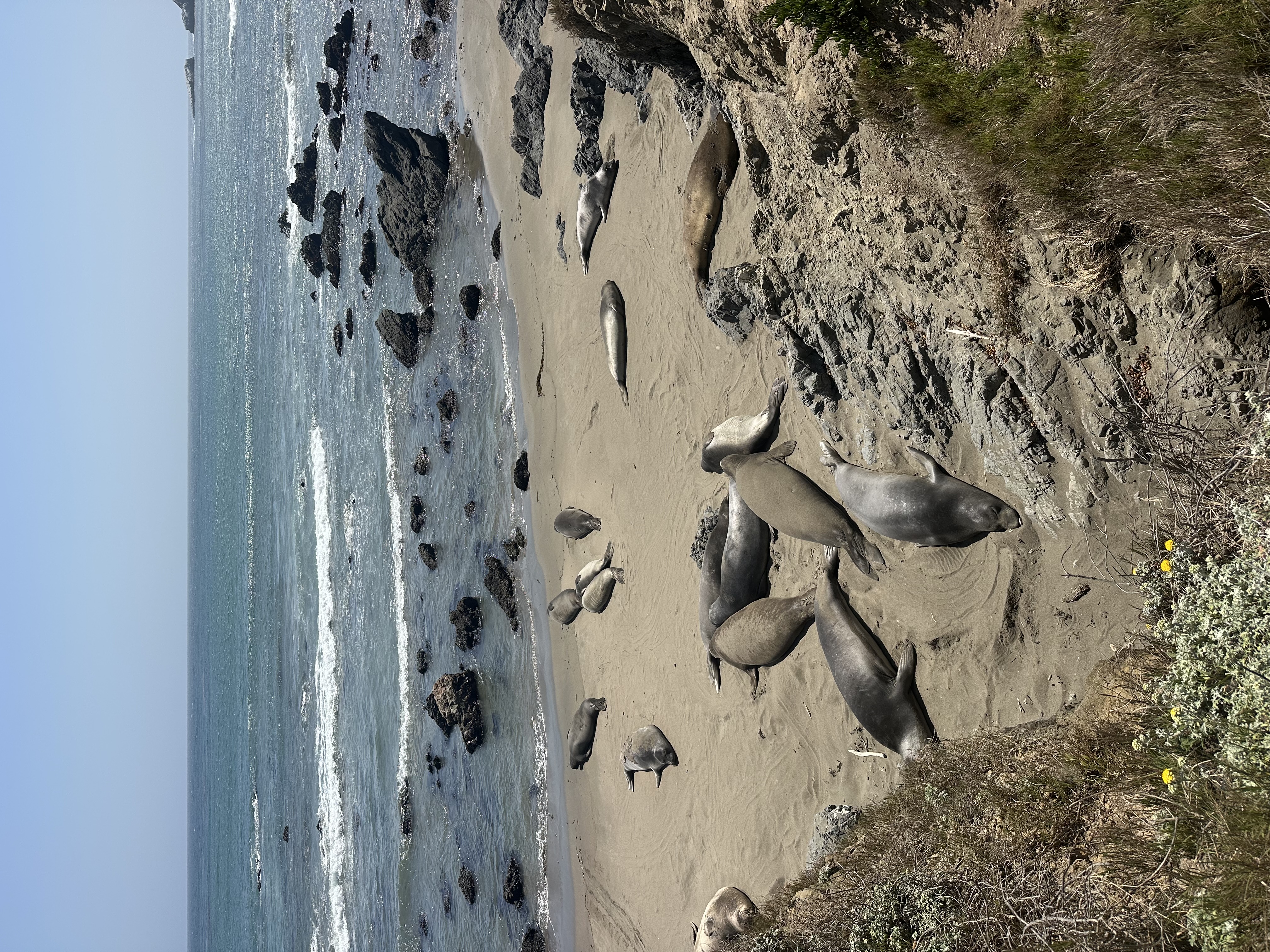 Big Sur