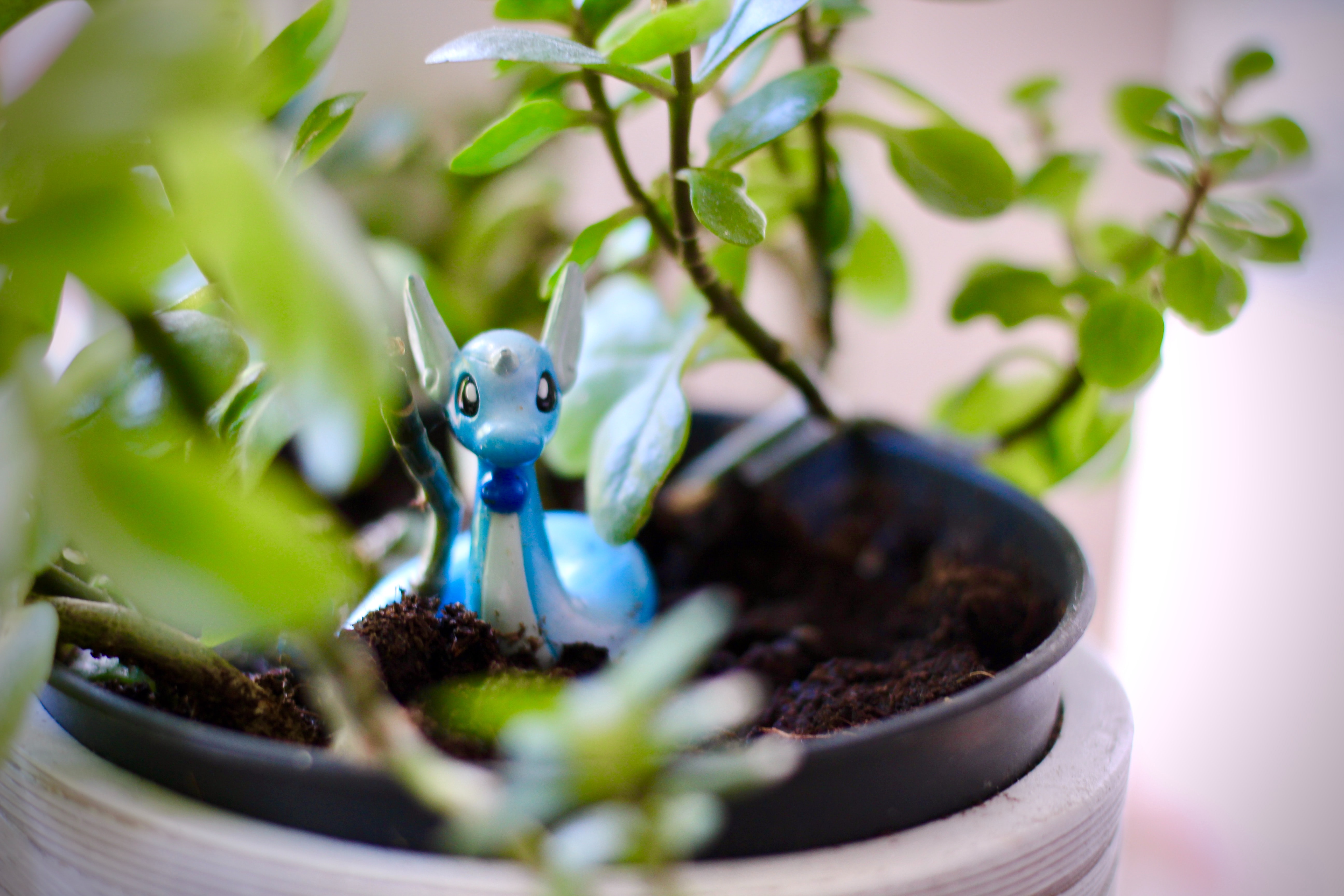 Pokémon in a plant