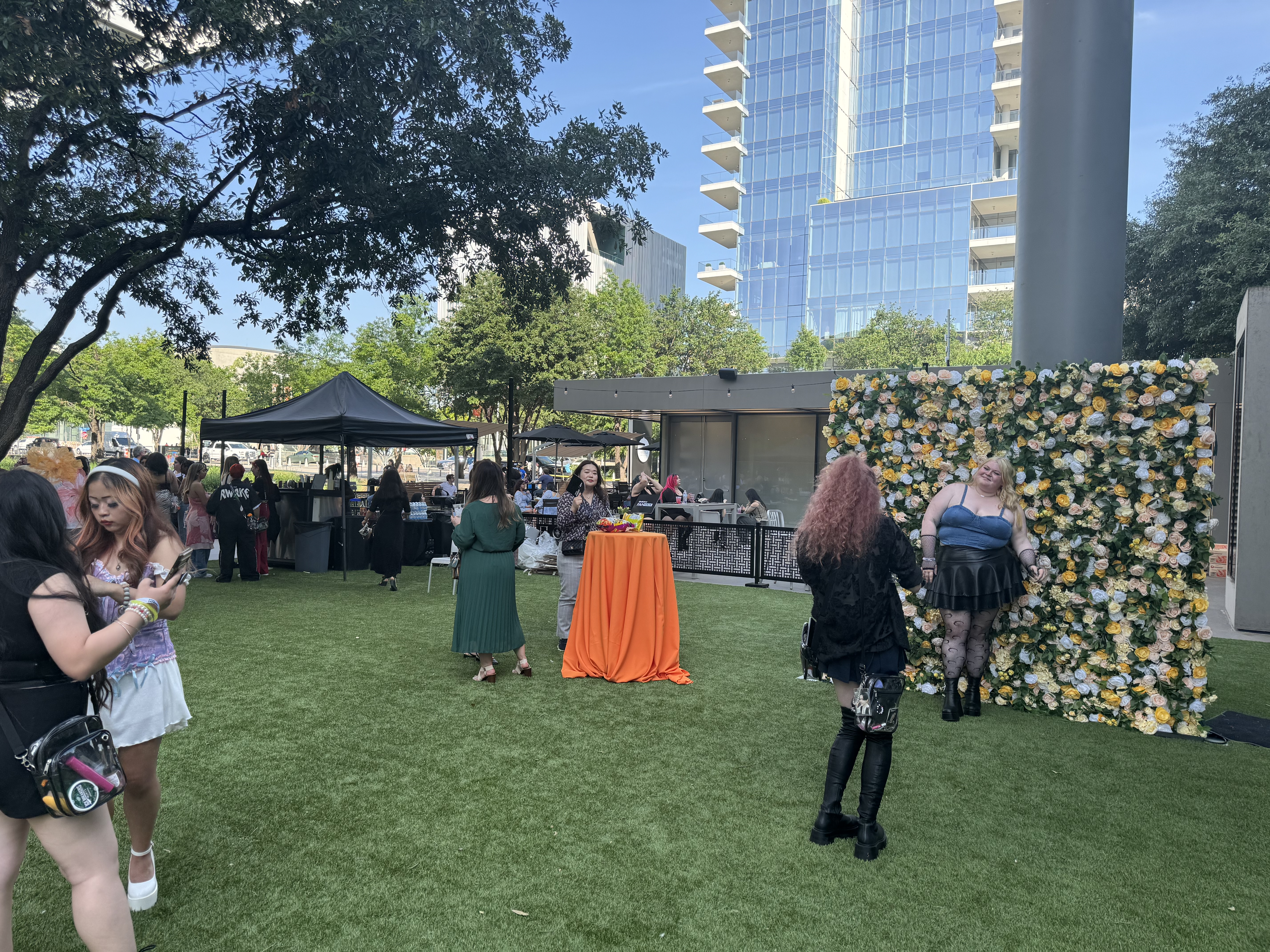 photo wall at picnic