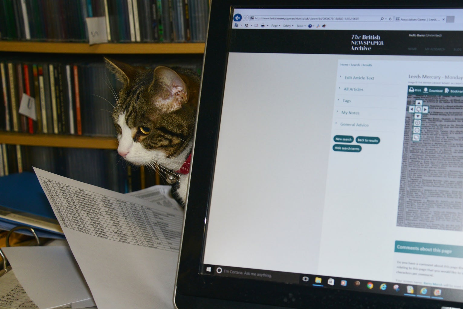 Cat next to computer (laptop) screen