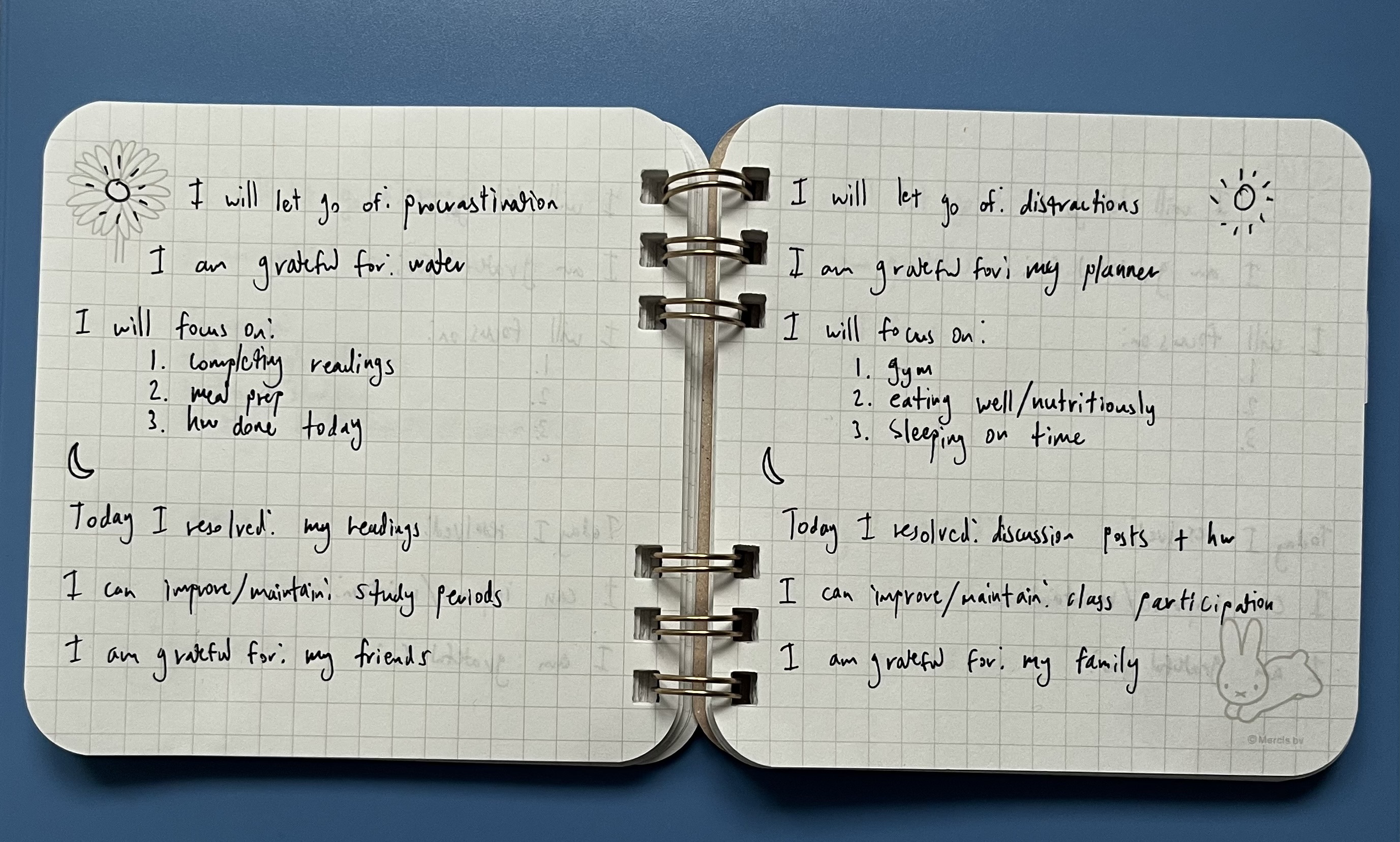 Photo of author\'s journal