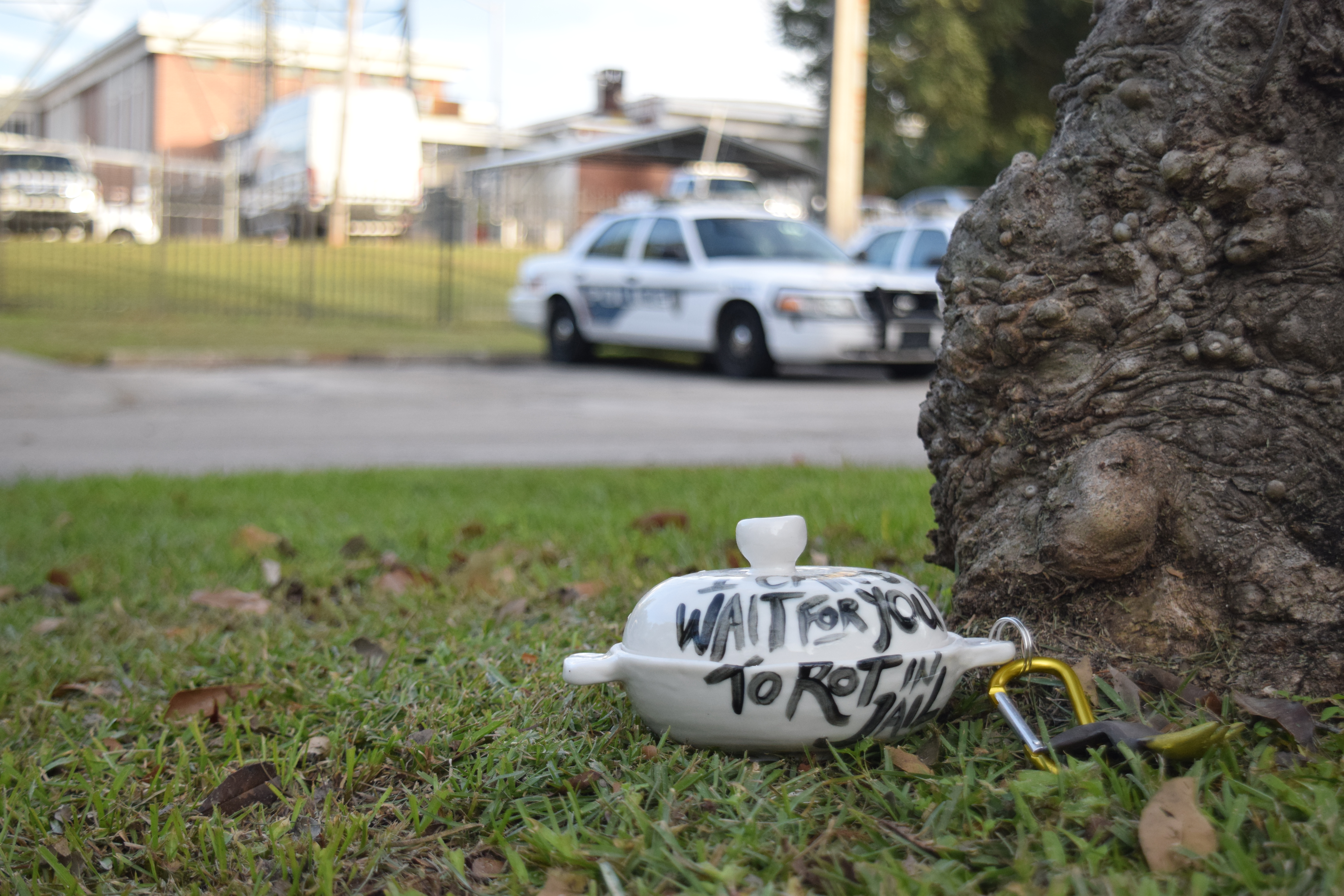 Things the police have said to me by nik rye