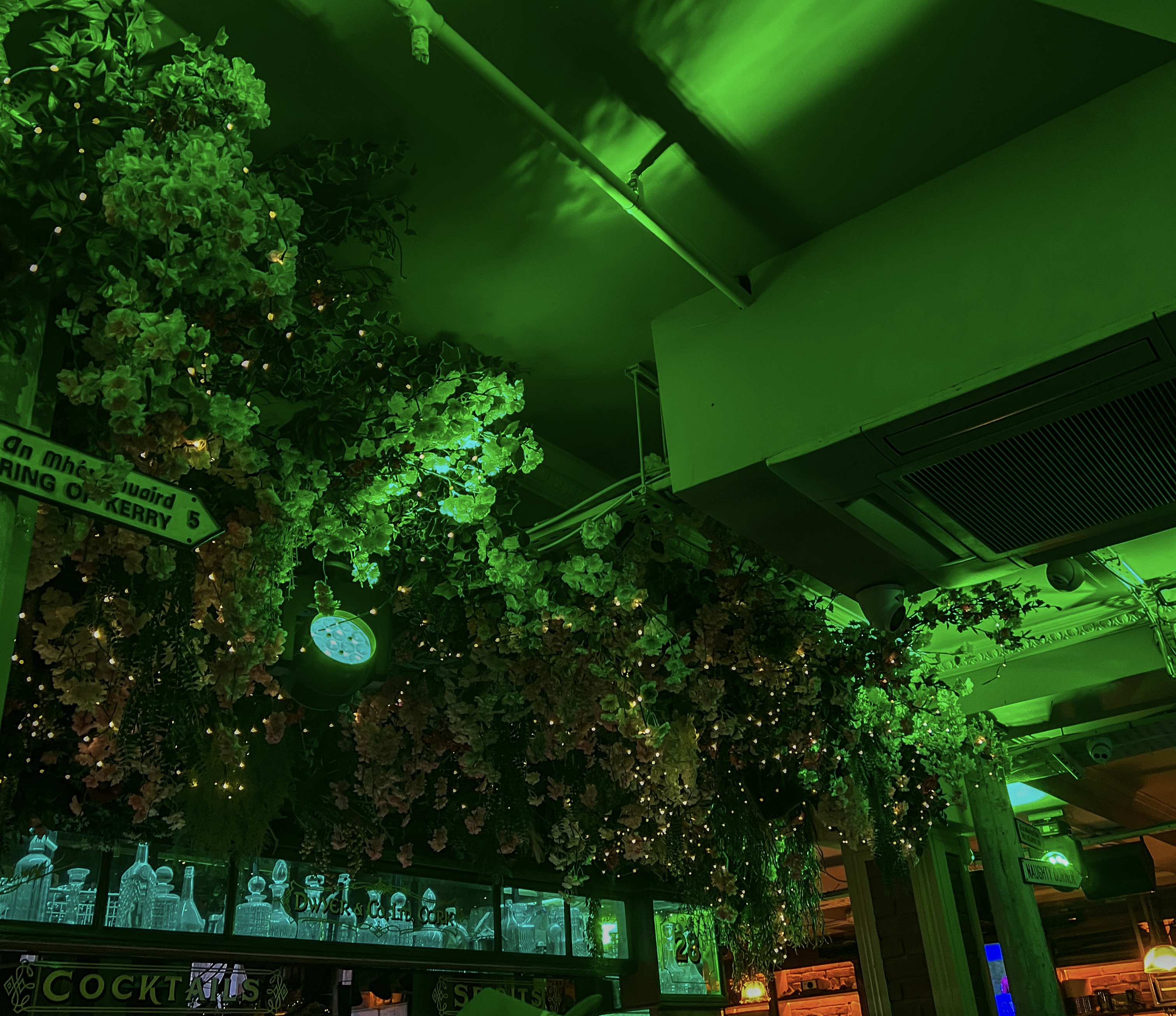 St. Patricks Day In Ireland