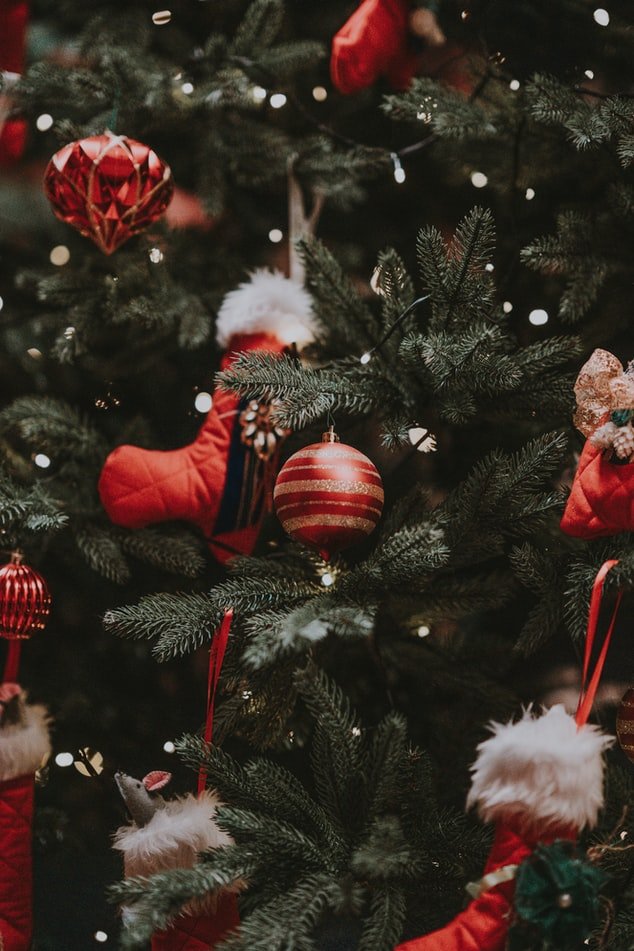 christmas treejpg by Unsplash