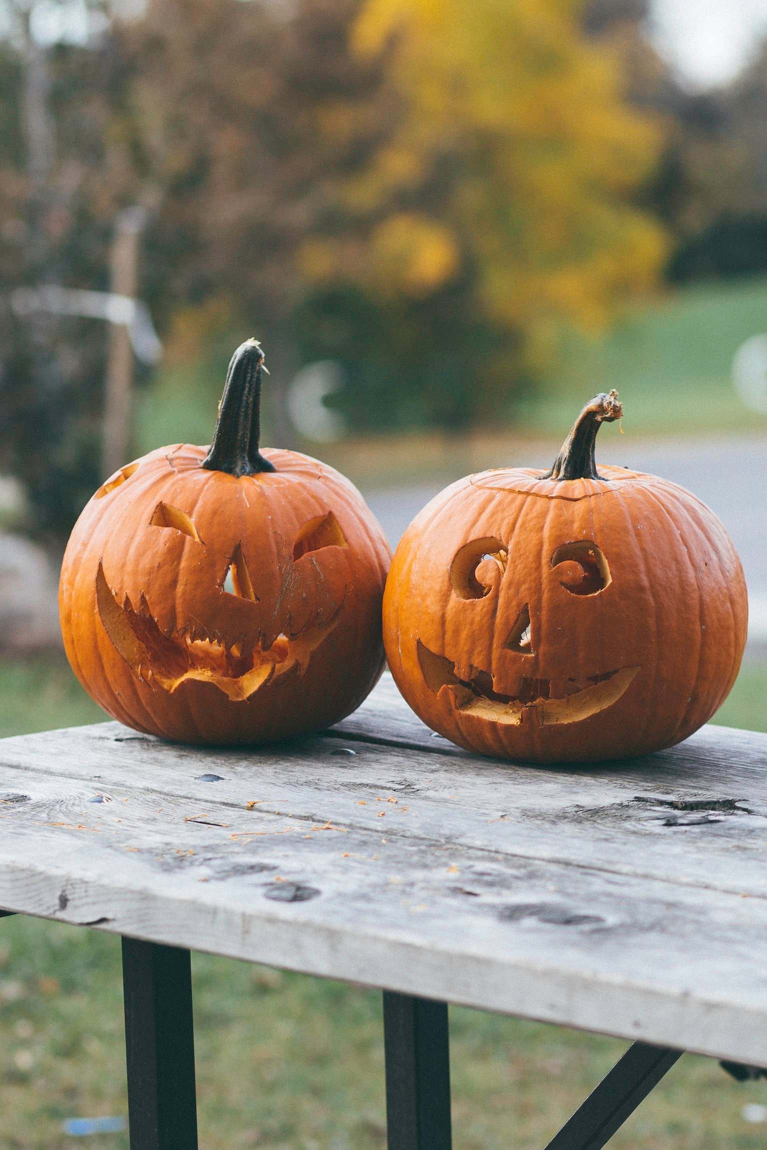 two carved pumpkins on table